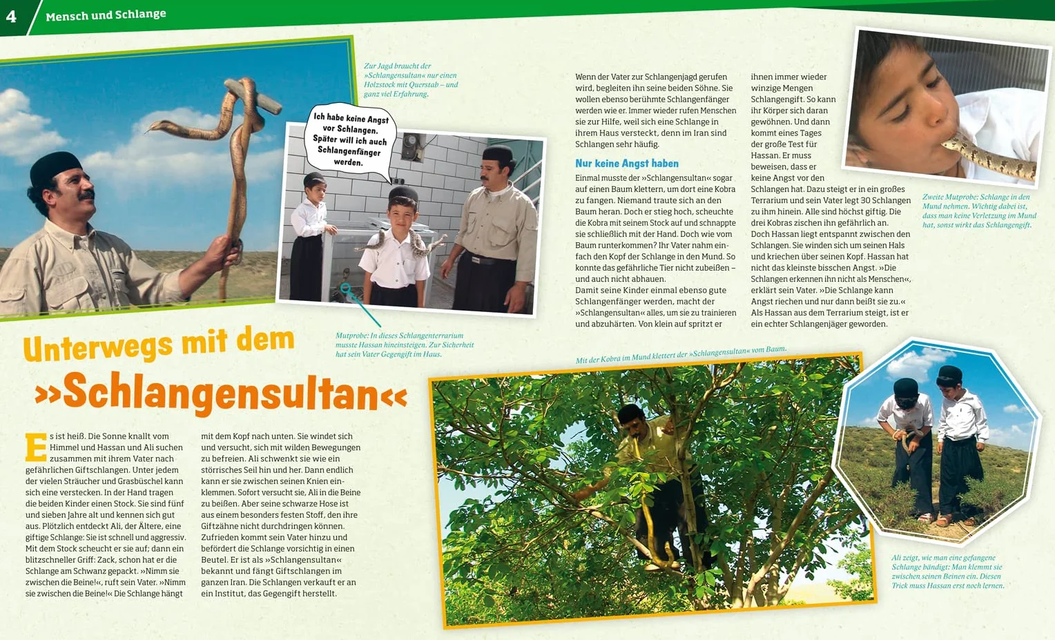 WAS IST WAS Band 121 Schlangen. Jäger mit dem sechsten Sinn