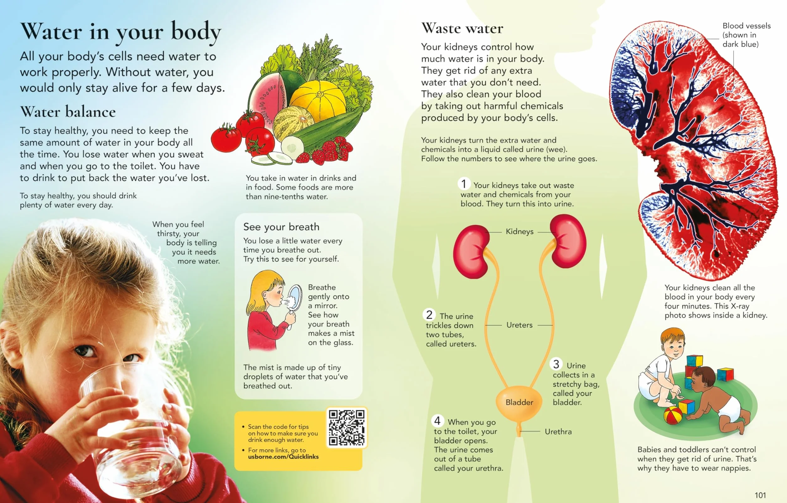 The Usborne Children's Encyclopedia