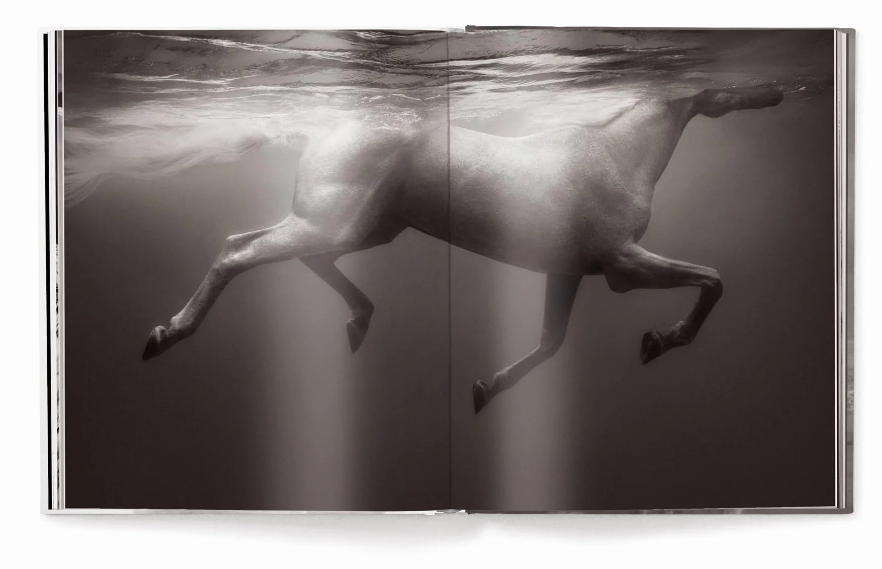 Untamed Spirits: Horses from Around the World /anglais/allemand