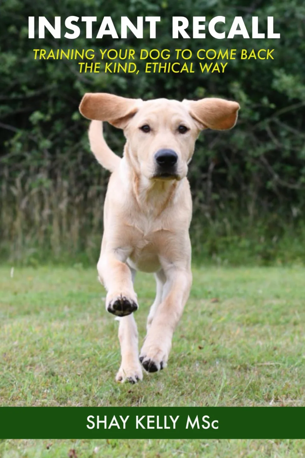 INSTANT RECALL: Train Your Dog to Come Back – the Kind, Ethical Way
