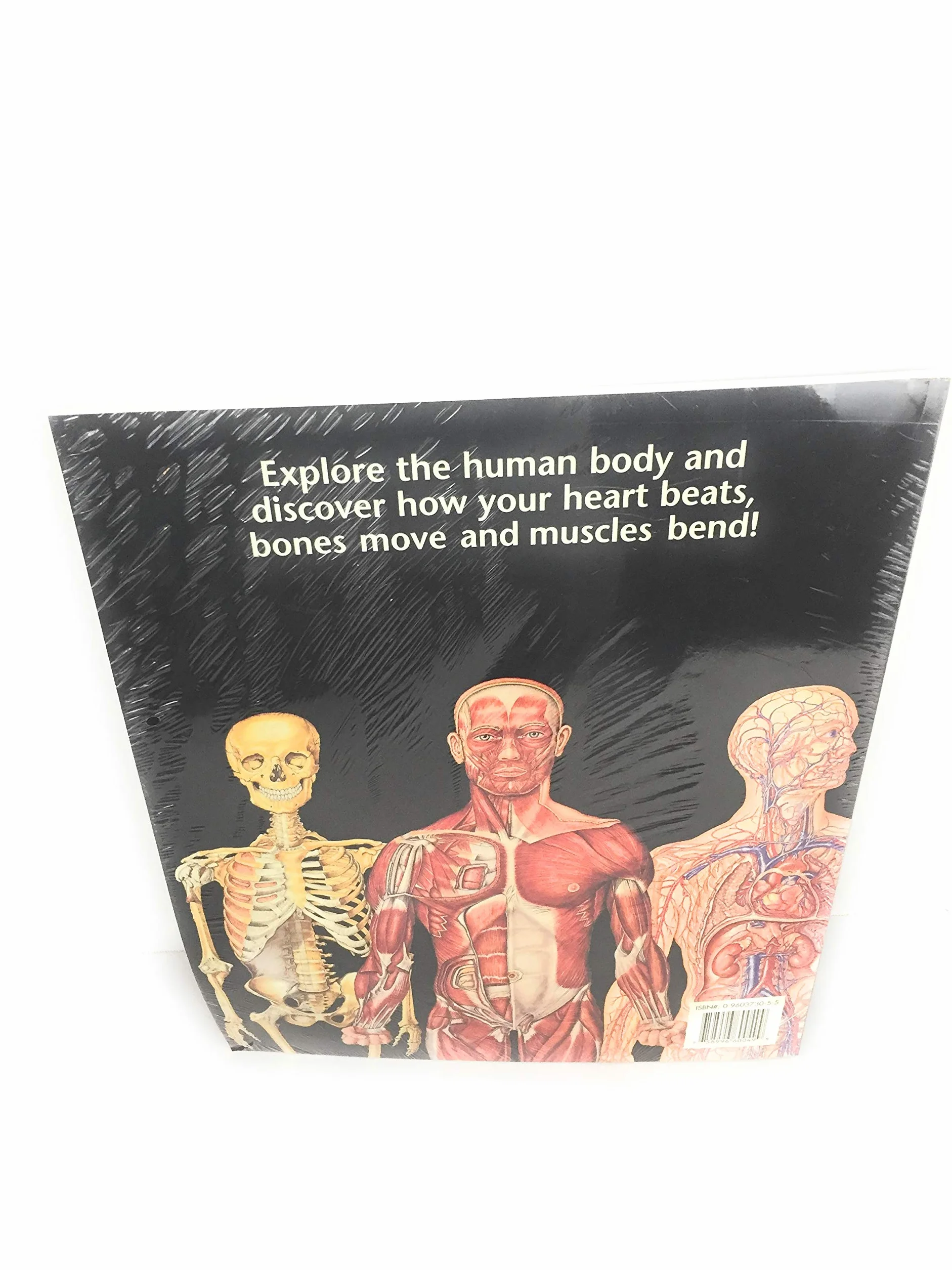 The World's Best Anatomical Charts