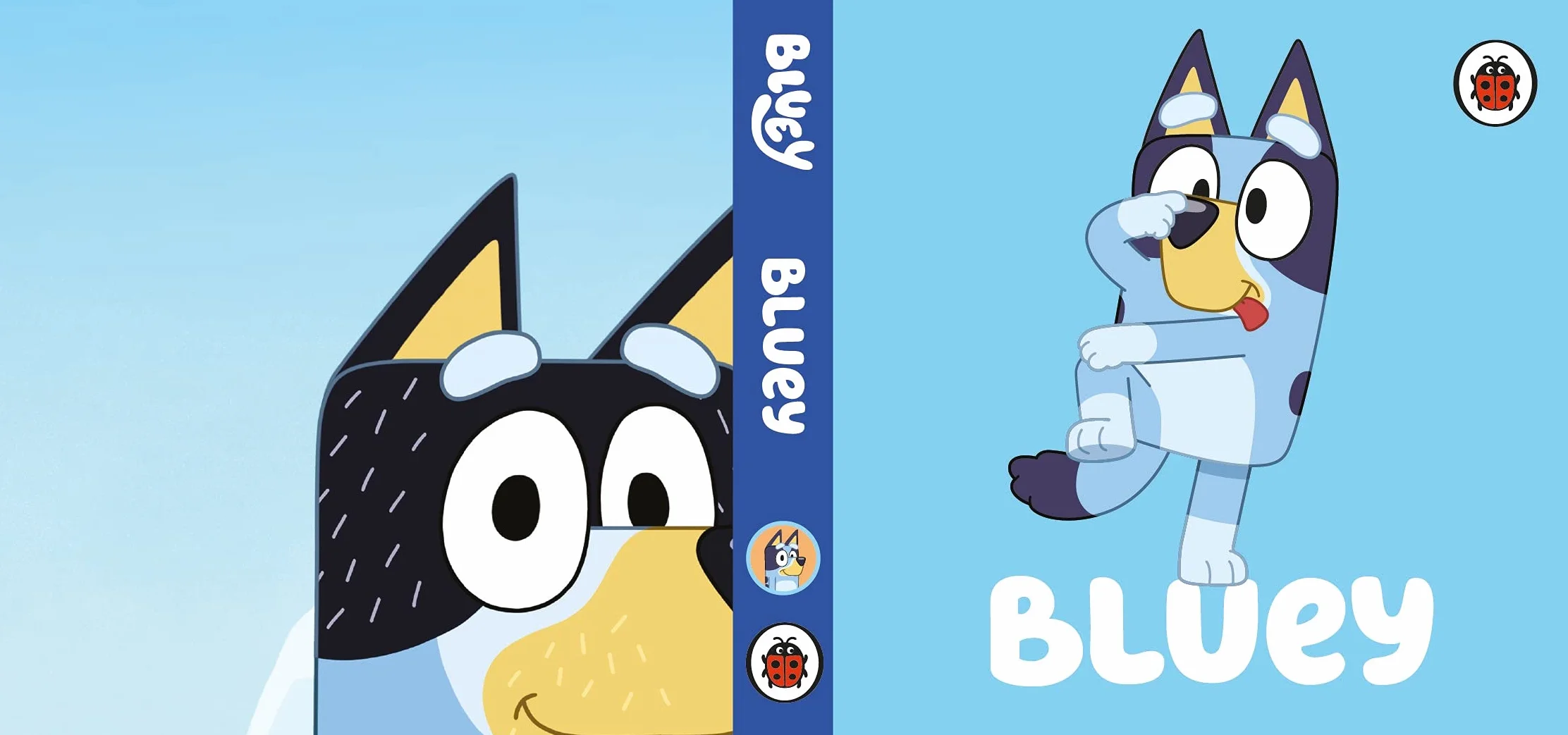 Bluey: Little Library