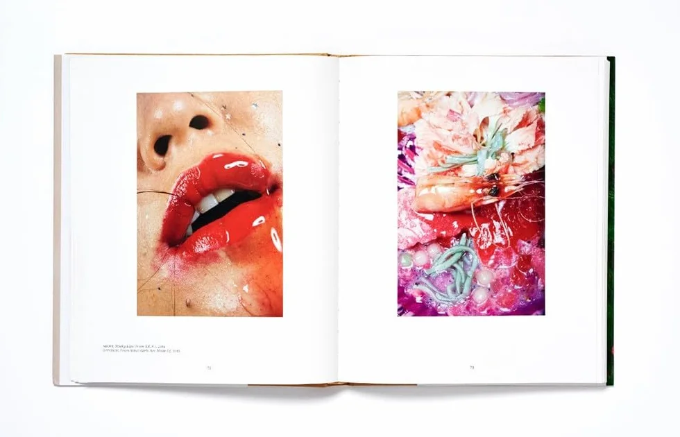 Girl on Girl: Art and Photography in the Age of the Female Gaze (40 Artists Redefining the Fields of Fashion, Art, Advertising and Photojournalism)
