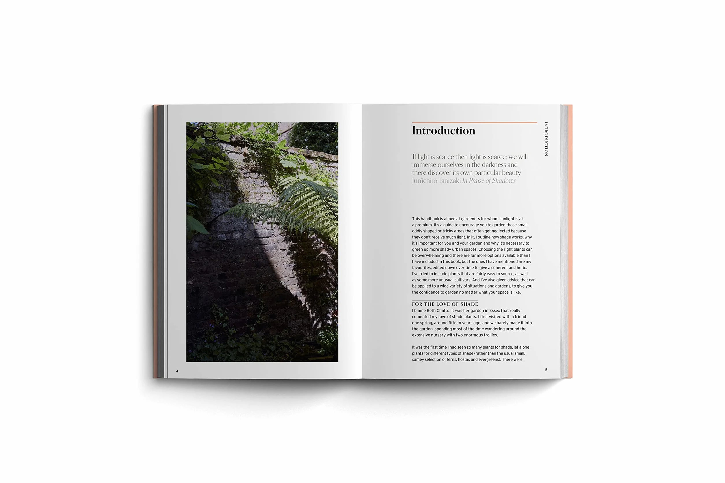 Shade (Bloom's Gardener Guide) /anglais: Bloom Gardener's Guide: Work with the Light, Grow the Right Plants, Bring Dark Corners to Life: 2