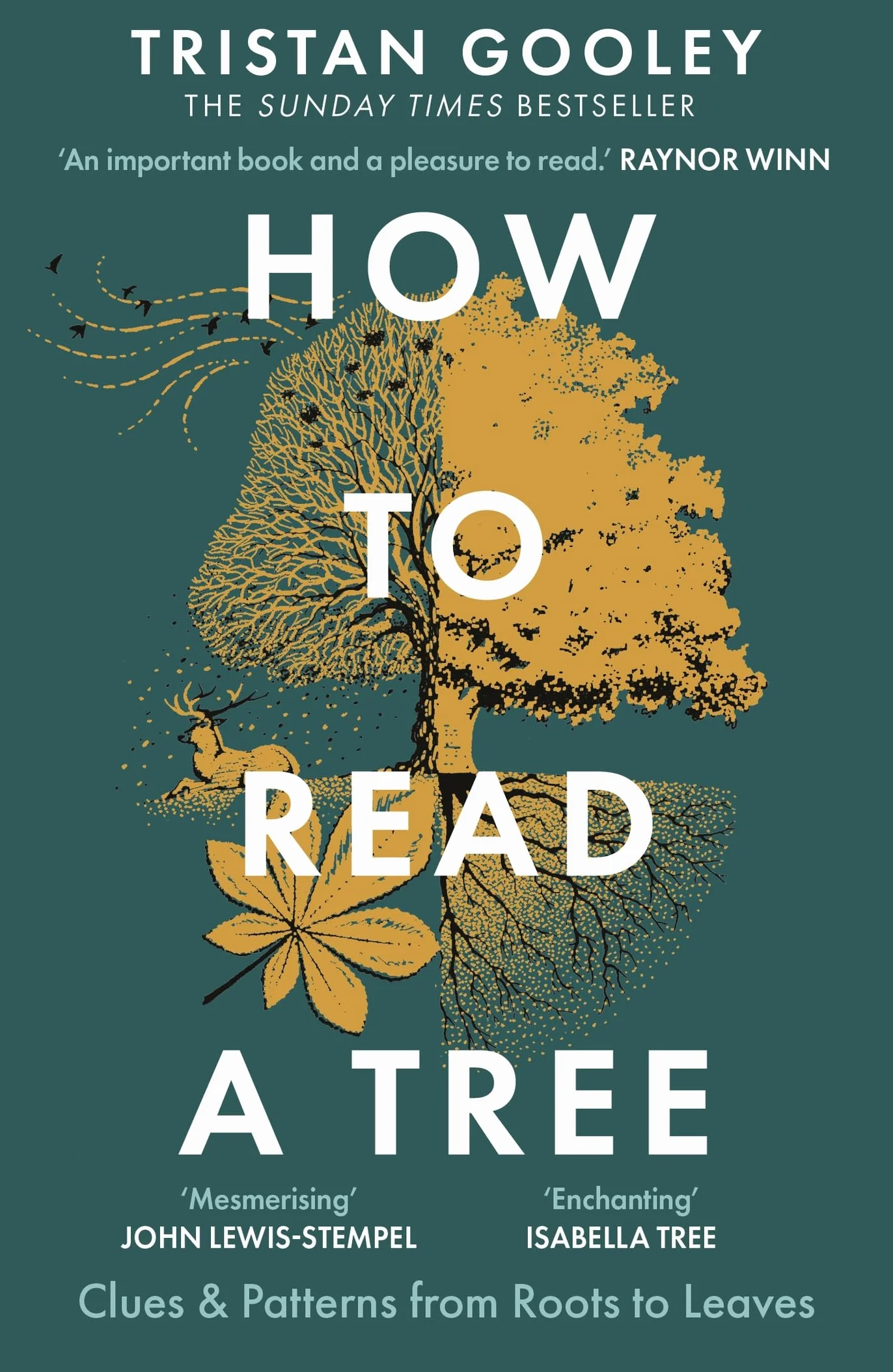How to Read a Tree: A must-have for all nature lovers - perfect reading for your springtime adventures