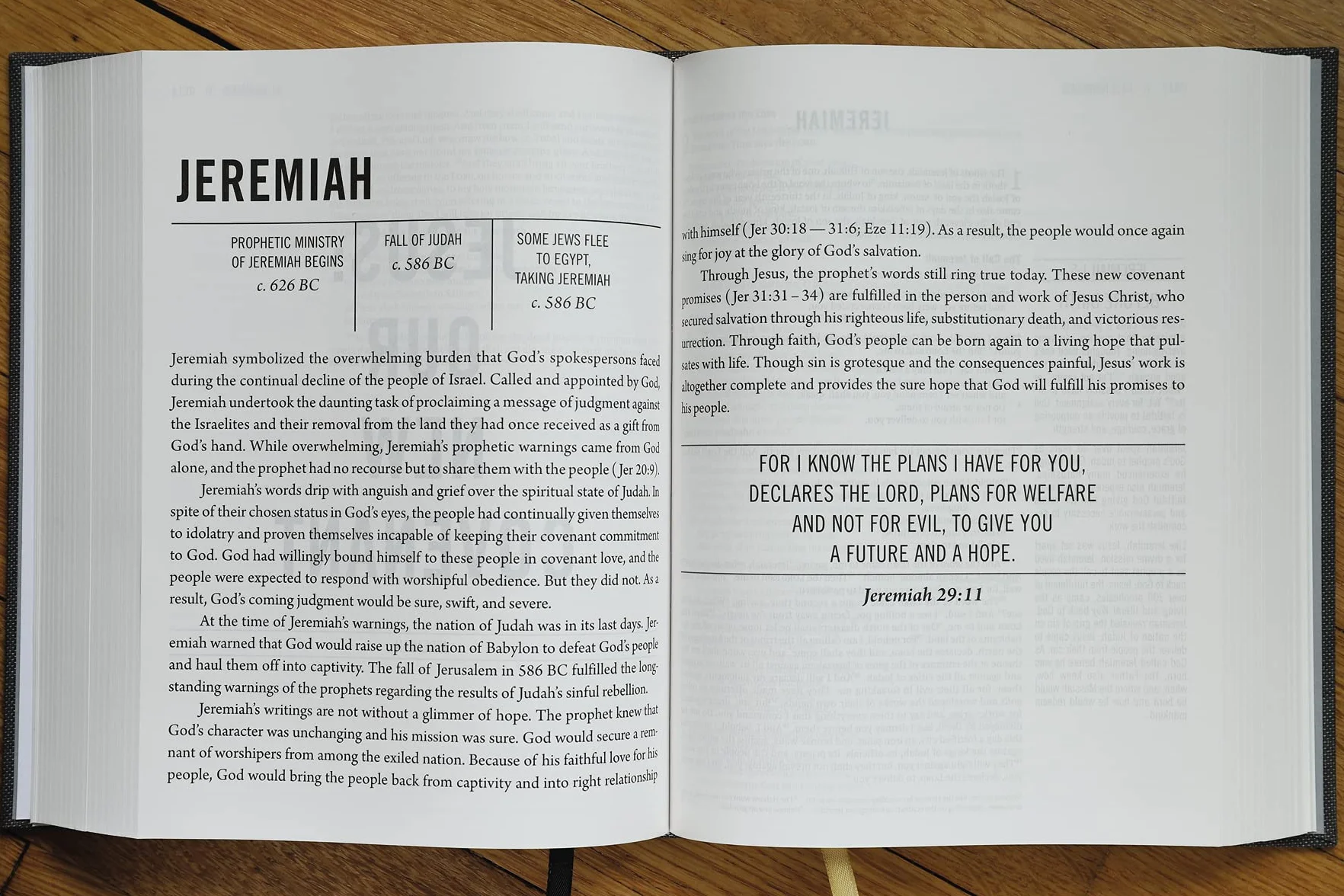 The Jesus Bible, ESV Edition, Cloth Over Board, Grey: English Standard Version, Charcoal, Cloth over Board