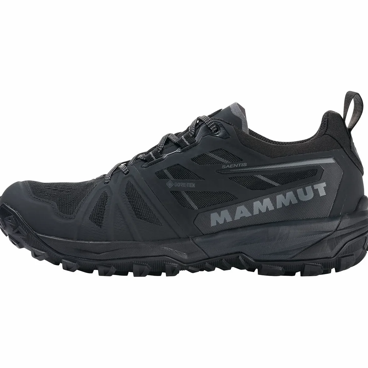 Mammut Kobiety saentis low gtxButy trailowe