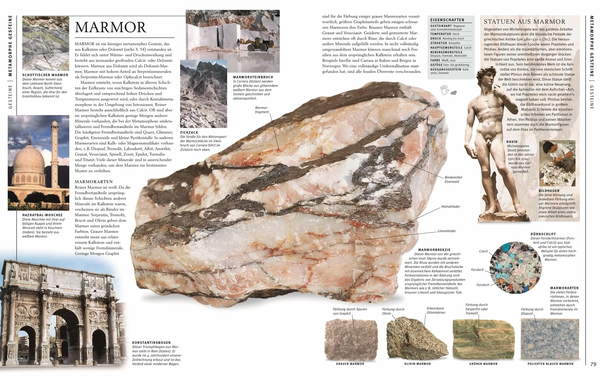 Steine & Mineralien: Über 500 faszinierende Gesteine, Minerale, Edelsteine und Fossilien. Mit mehr als 1200 spektakulären Farbfotos