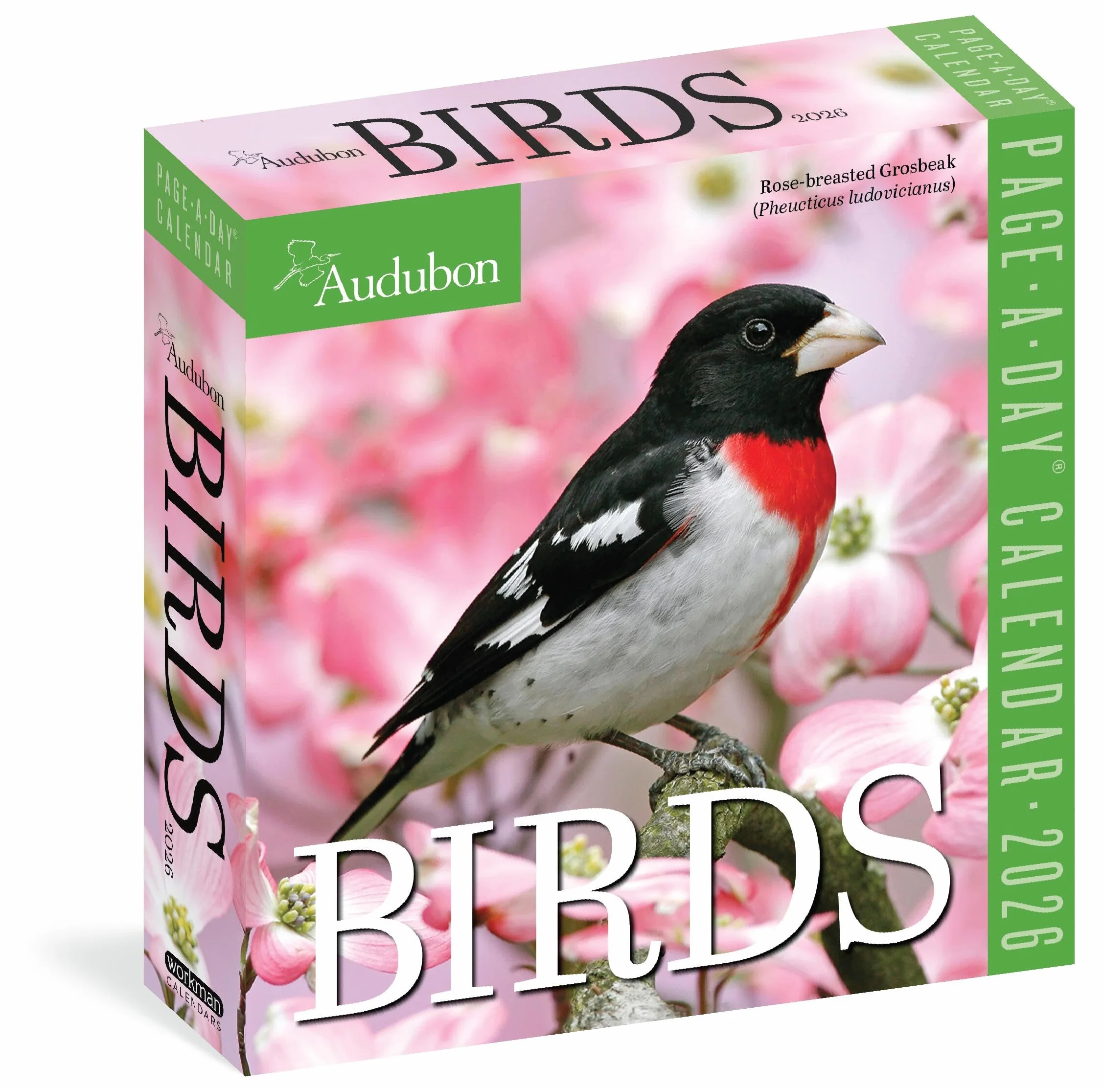 Audubon Birds Page-A-Day(r) Calendar 2026: The World's Favorite Bird Calendar