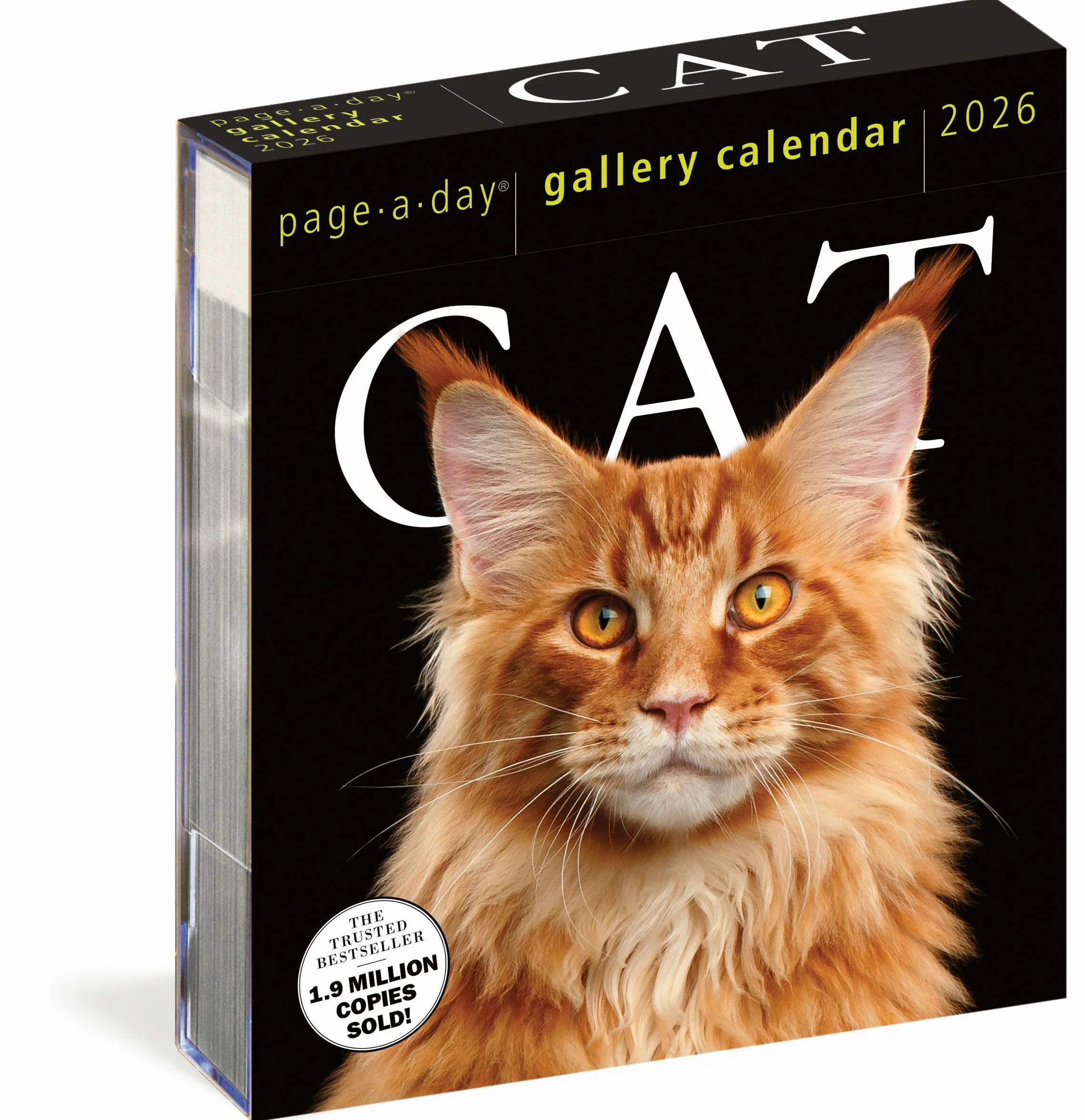 Cat Page-A-Day® Gallery Calendar 2026: A Delightful Gallery of Cats for Your Desktop