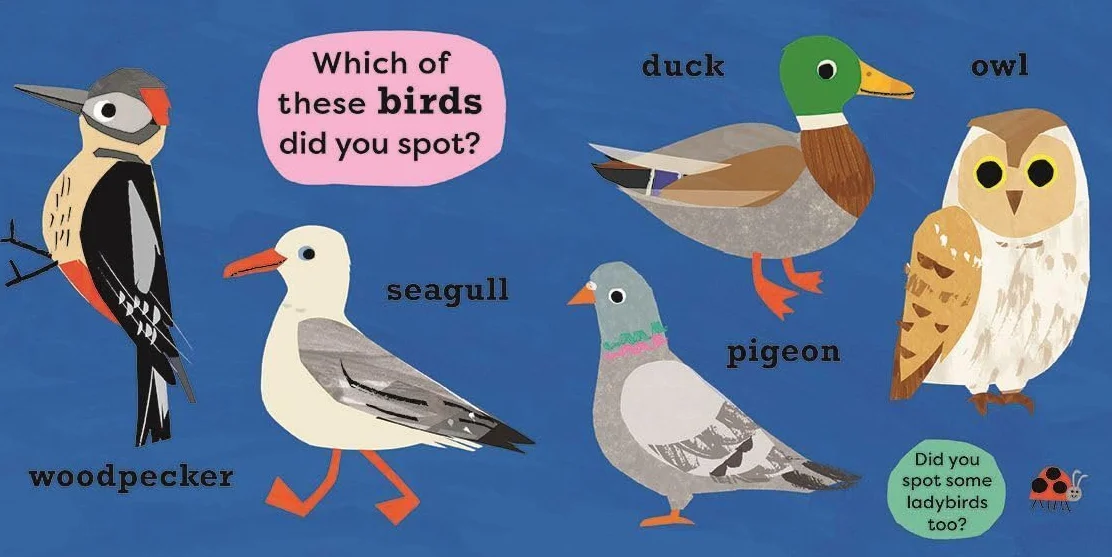 National Trust: My Very First Spotter's Guide: I Spot a Duck