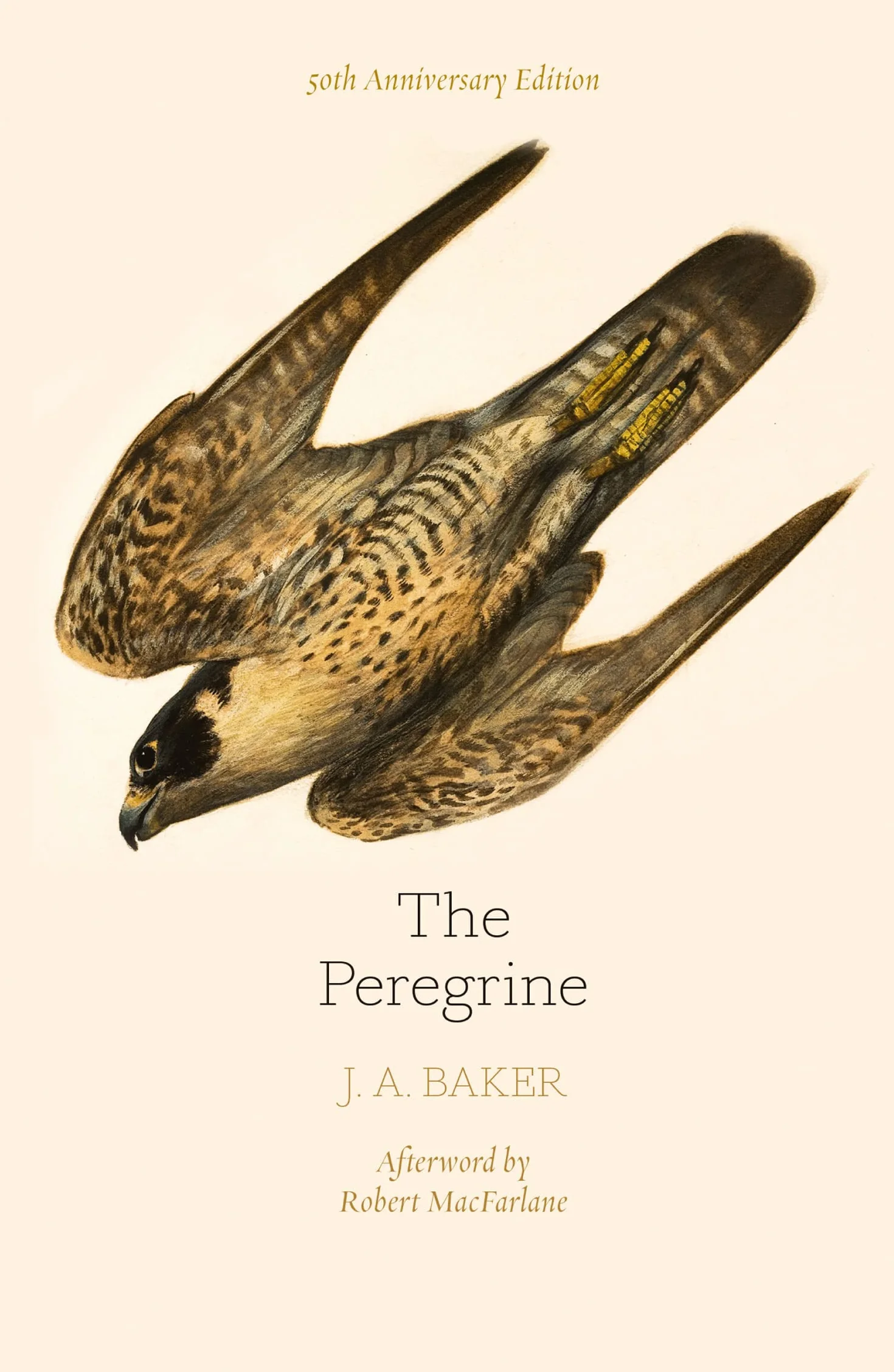 The Peregrine: 50th Anniversary Edition: Afterword by Robert Macfarlane