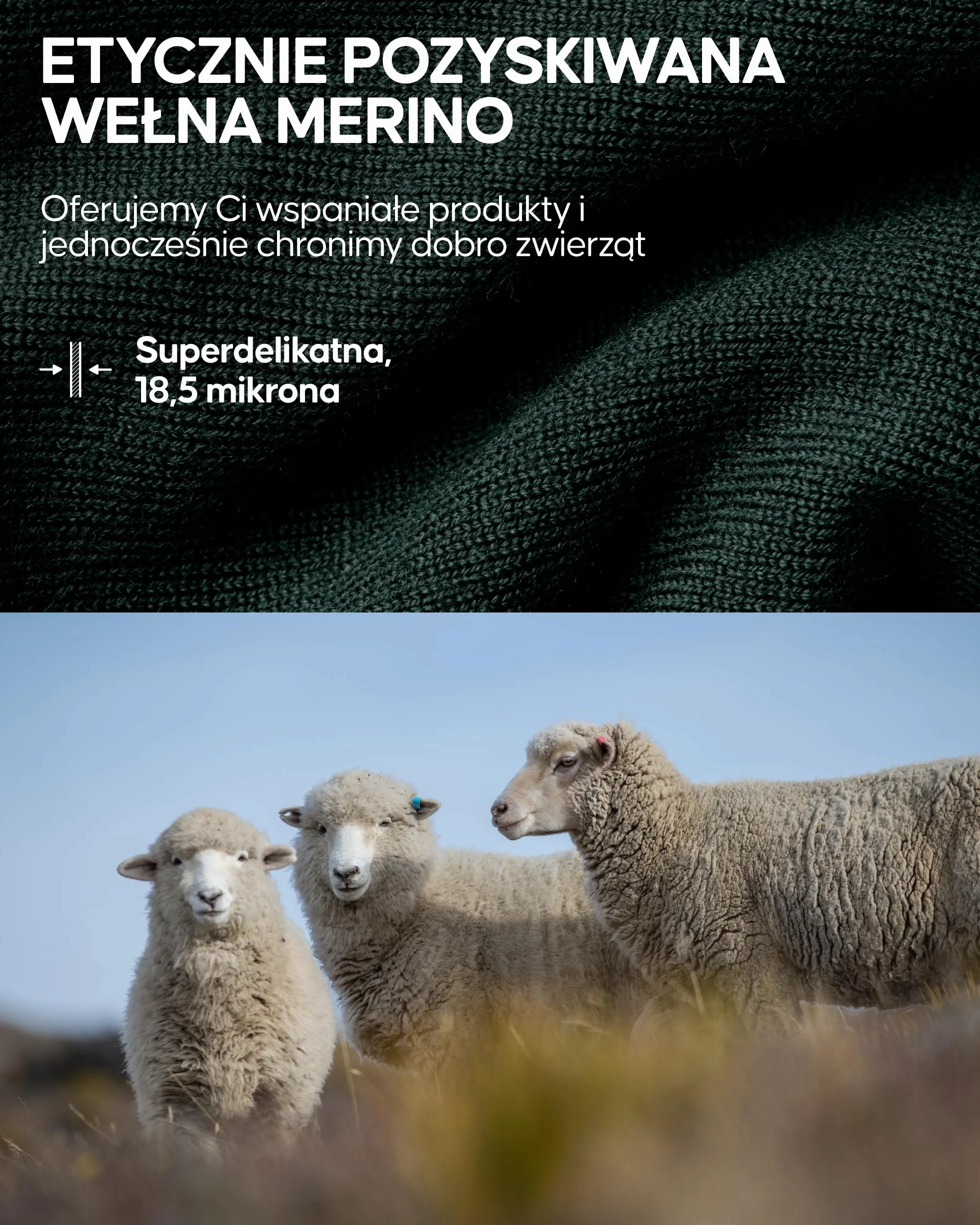 DANISH ENDURANCE Komin Termiczny Merino z Polarem, Ocieplacz na Szyję na Zimę, dla Mężczyzn i Kobiet