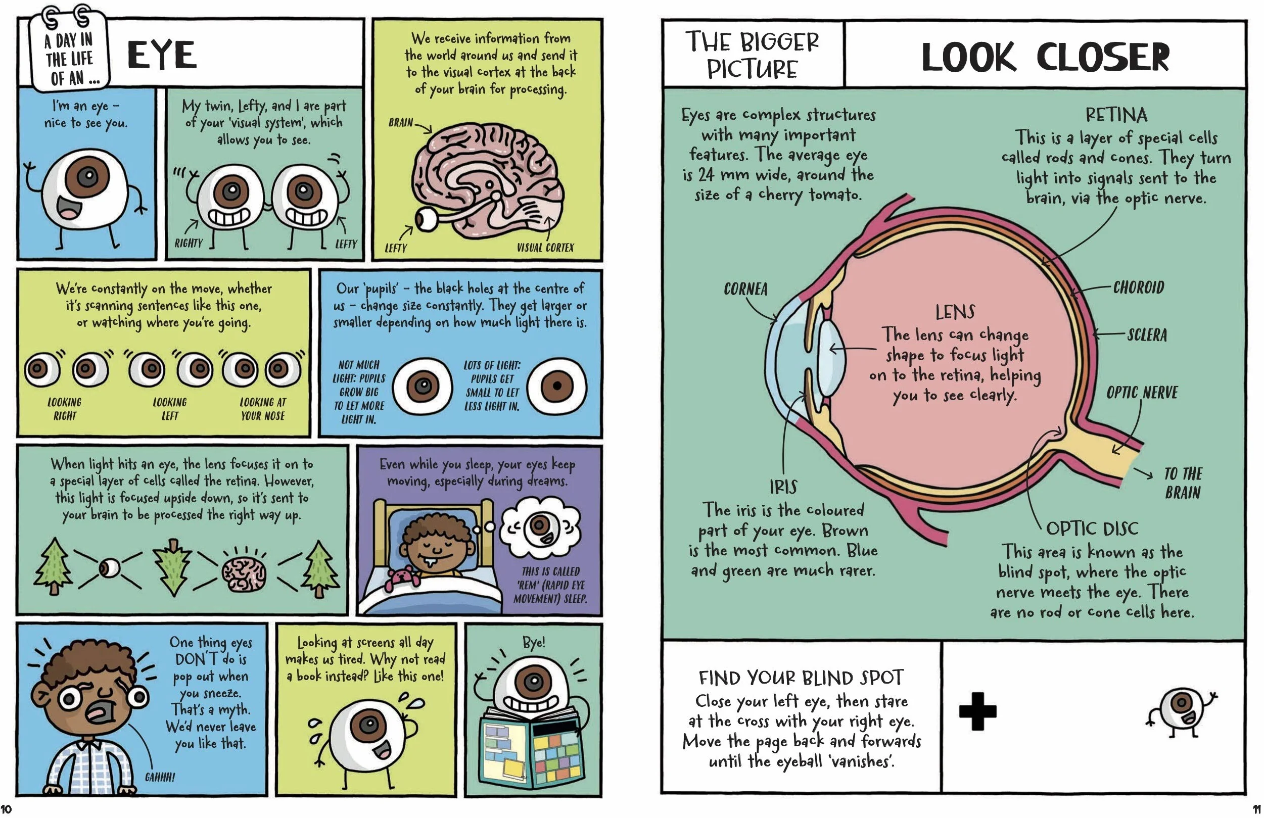 A Day in the Life of a Poo, a Gnu and You (Winner of the Blue Peter Book Award 2021)