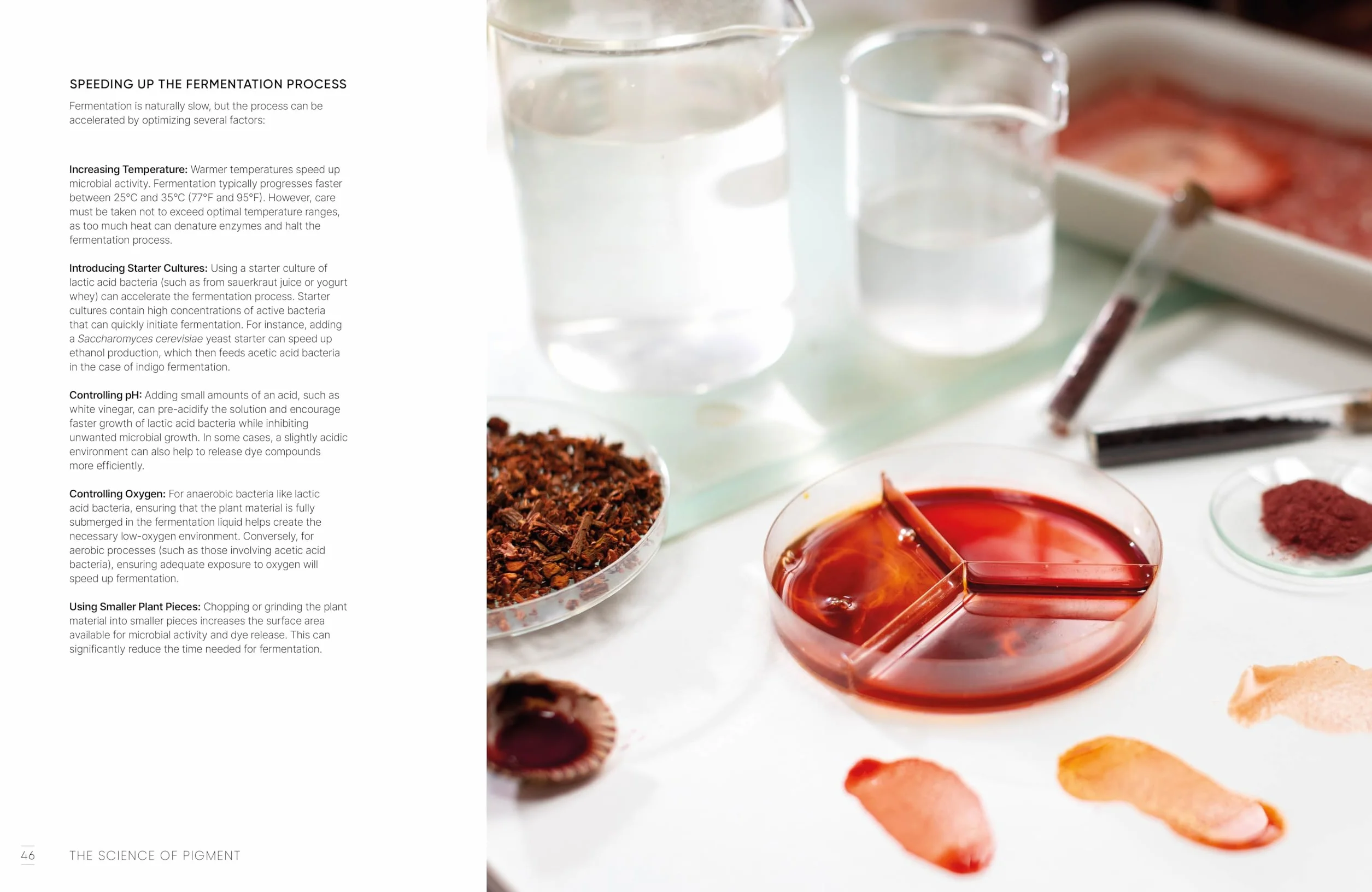 The Natural Pigment Handbook: A Maker's Guide to the Art, Stories and Recipes for Creating Paint