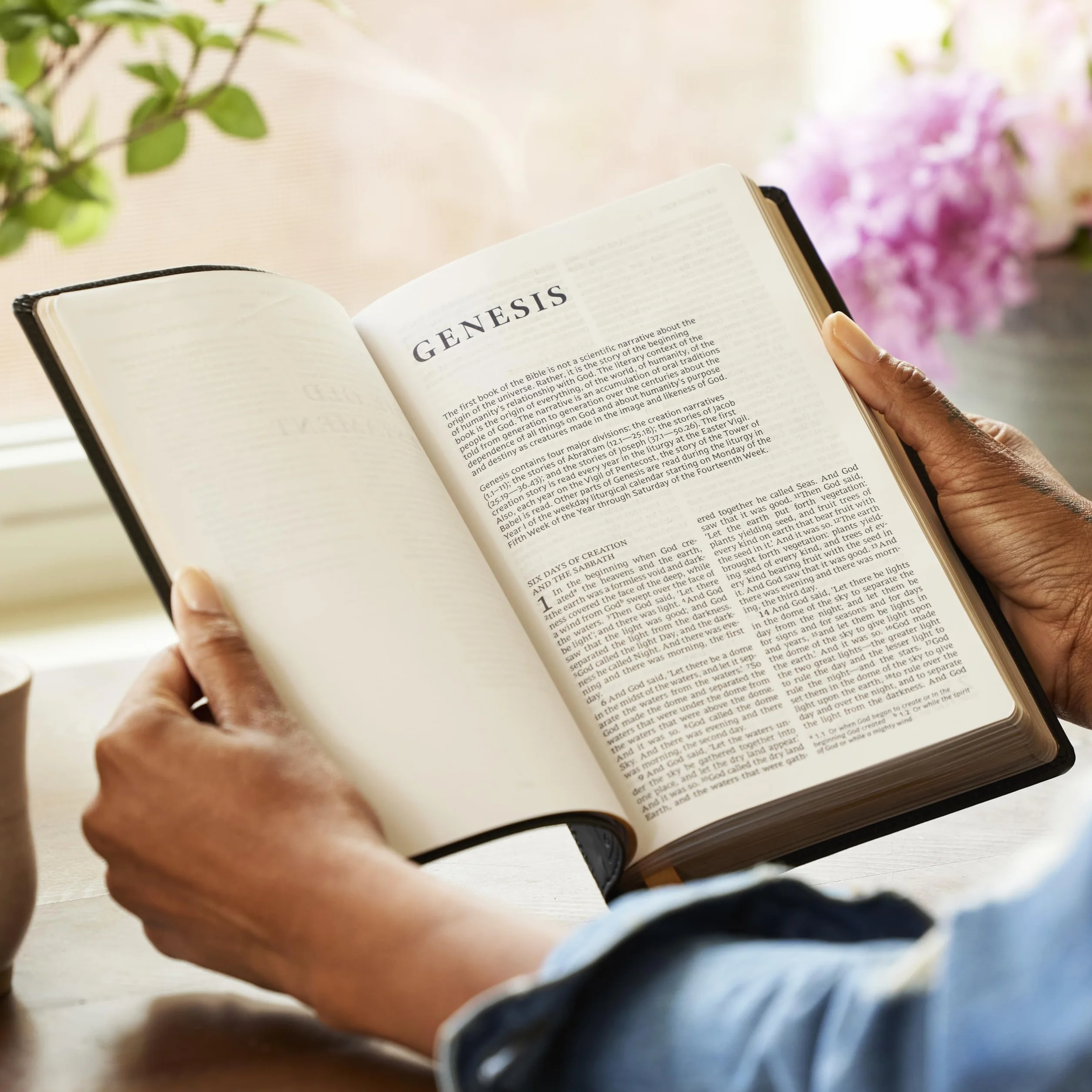 Nrsv, Catholic Bible, Gift Edition, Leathersoft, White, Comfort Print: Holy Bible