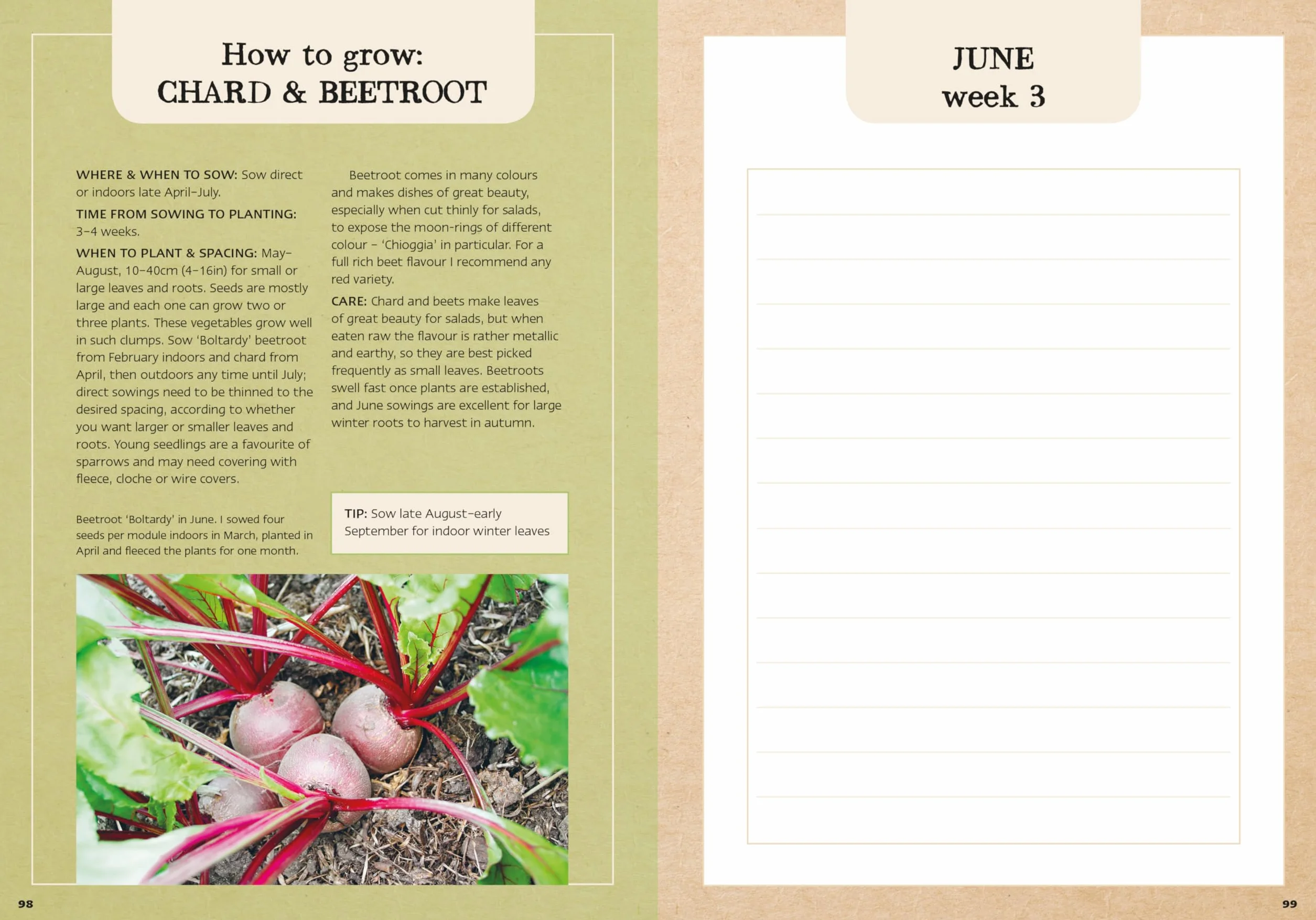 Charles Dowding's Veg Journal: Expert No-Dig Advice, Month by Month