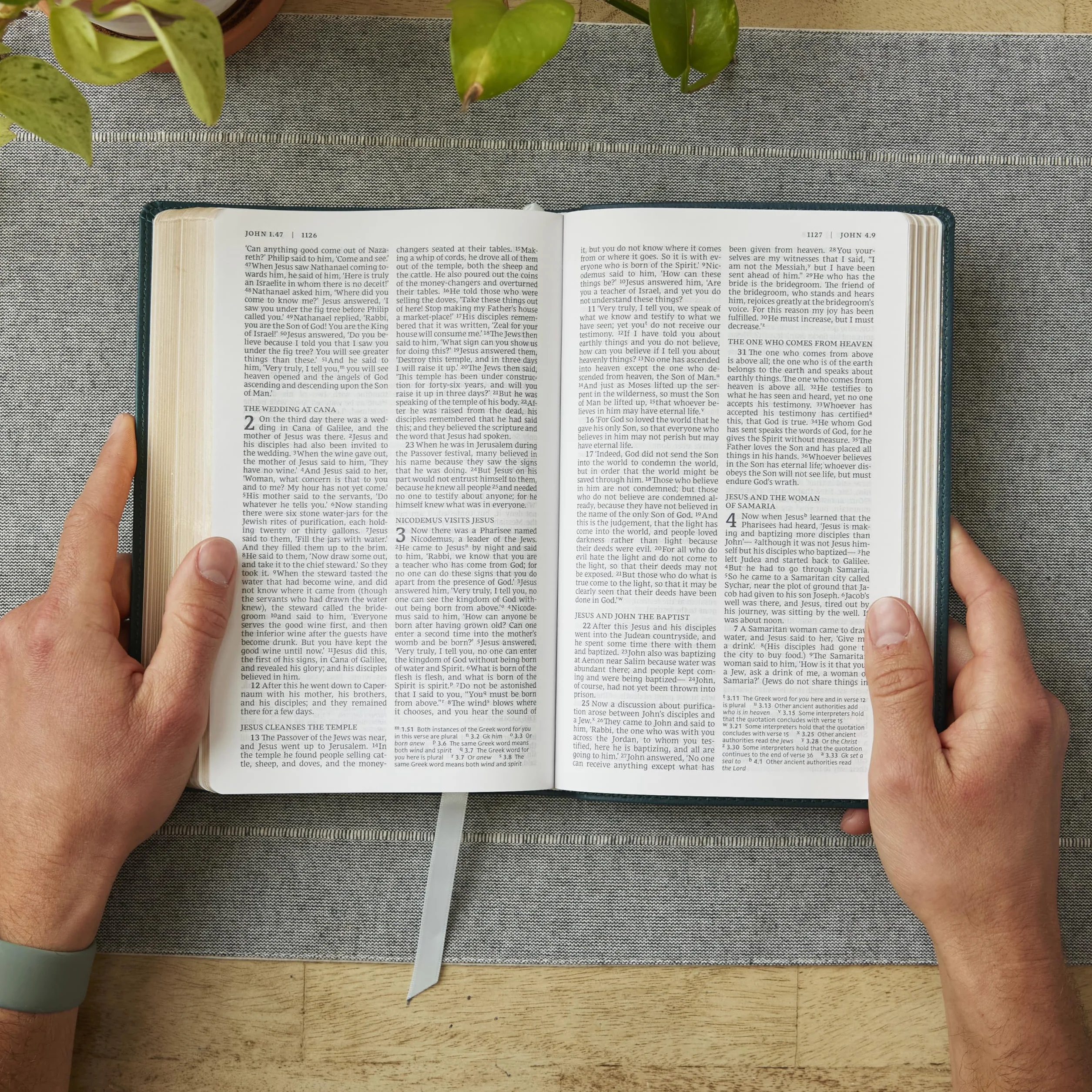 Nrsv, Catholic Bible, Gift Edition, Leathersoft, White, Comfort Print: Holy Bible