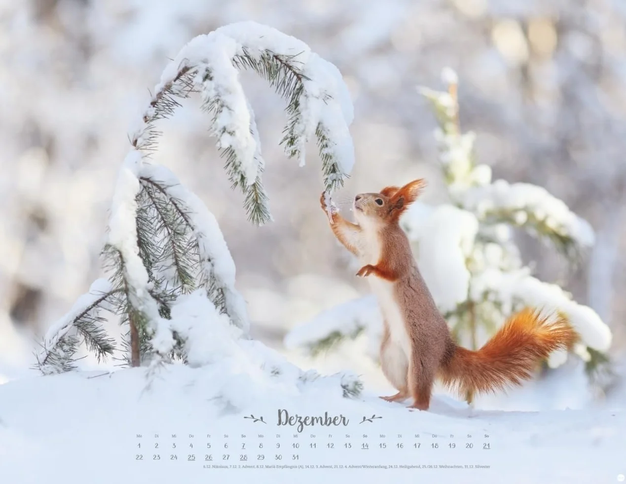 Vadim Trunov: Märchenhaftes Waldleben Posterkalender 2025: Naturkalender 2025 gestaltet mit Bildern des Naturfotografen Vadim Trunov. Fotokalender 2025 im Querformat. 44 x 34 cm.