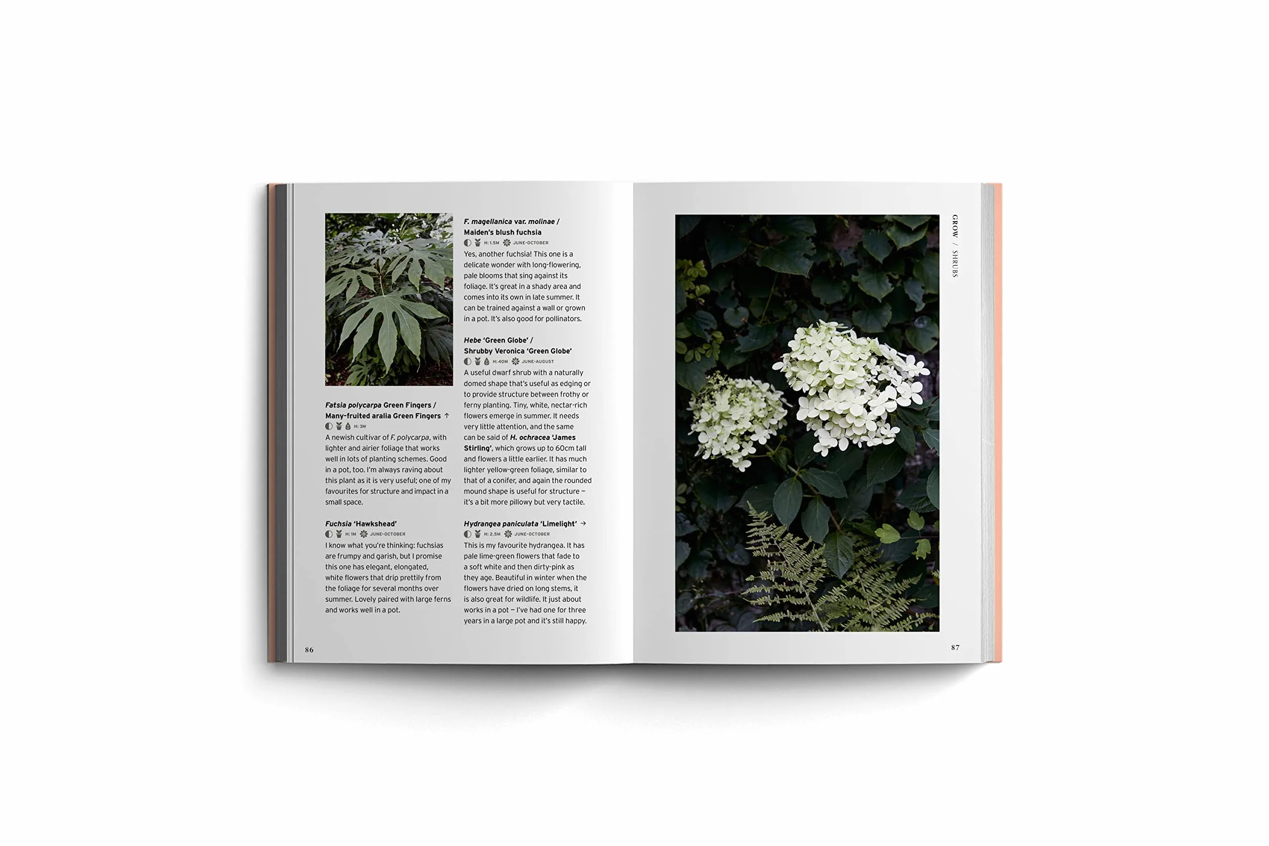 Shade (Bloom's Gardener Guide) /anglais: Bloom Gardener's Guide: Work with the Light, Grow the Right Plants, Bring Dark Corners to Life: 2