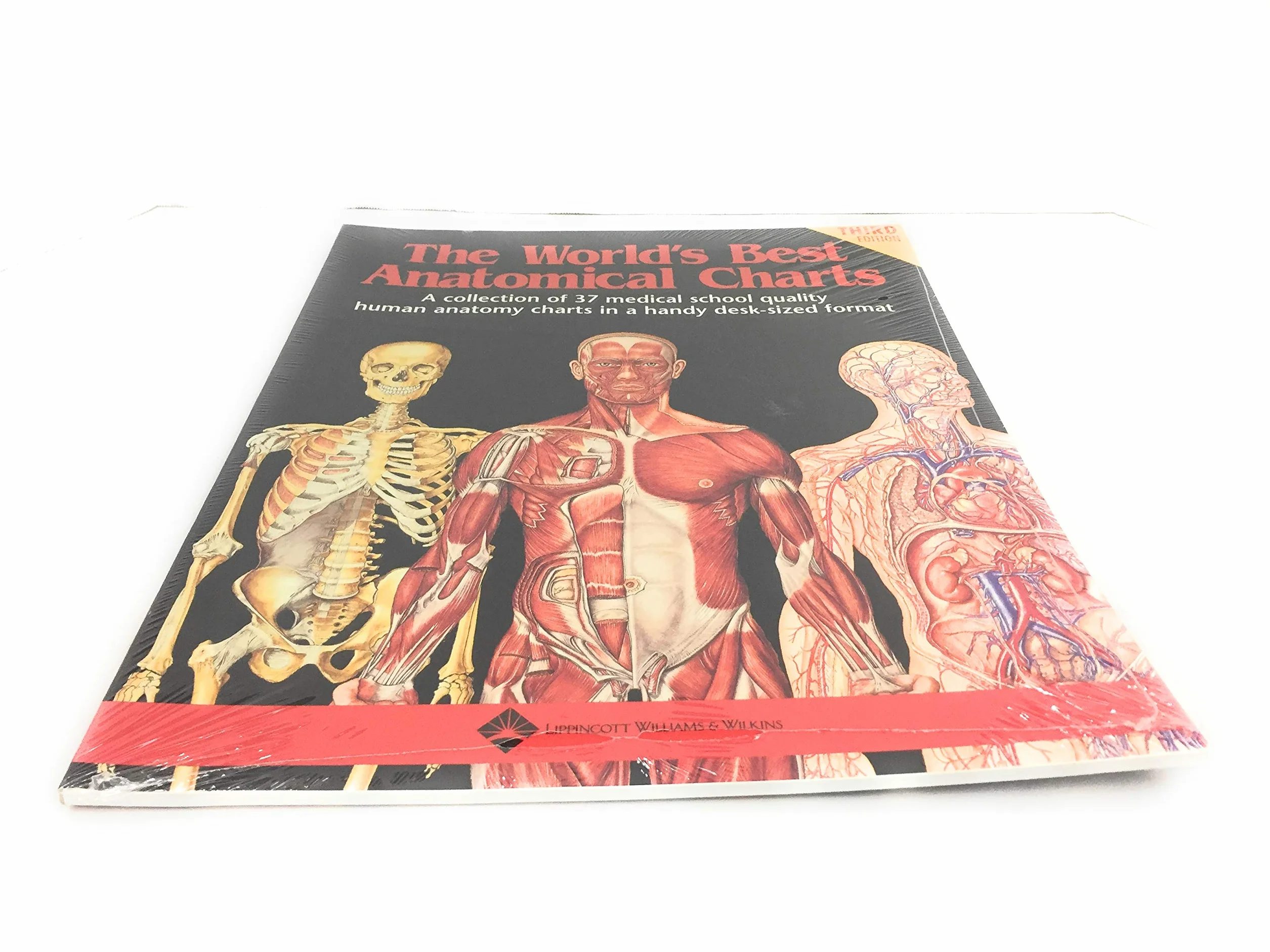 The World's Best Anatomical Charts