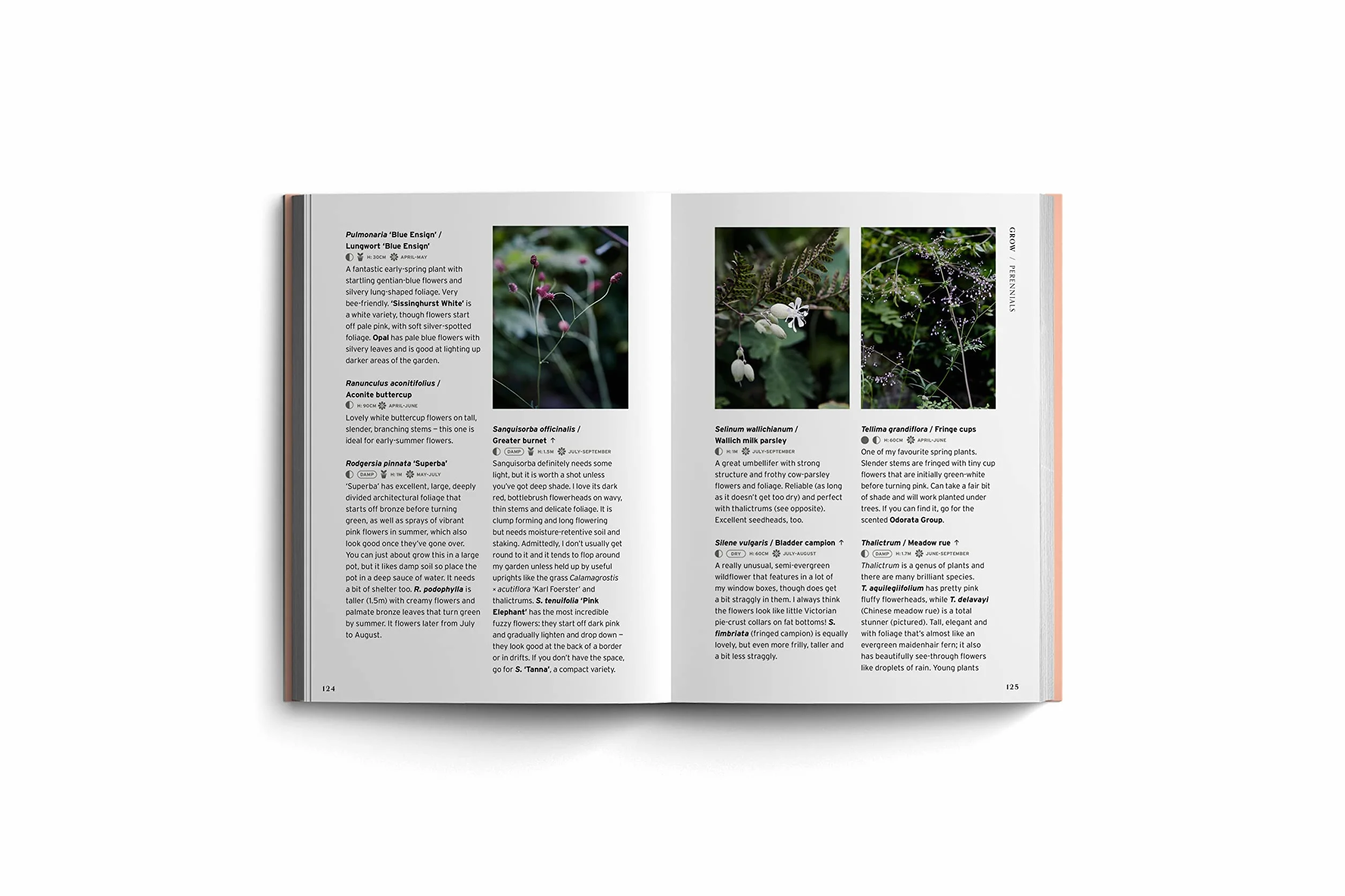 Shade (Bloom's Gardener Guide) /anglais: Bloom Gardener's Guide: Work with the Light, Grow the Right Plants, Bring Dark Corners to Life: 2