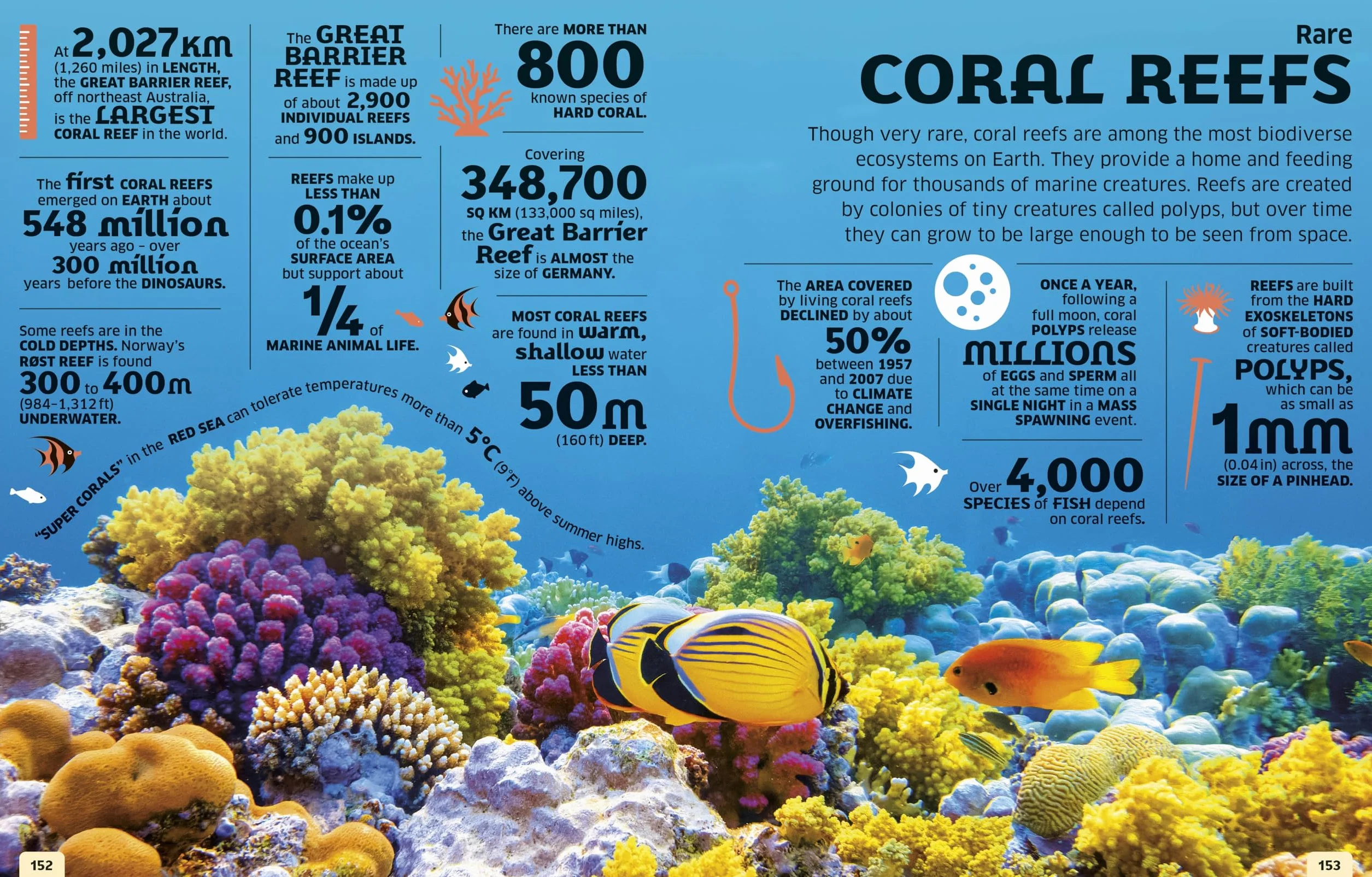 Our World in Numbers Planet Earth