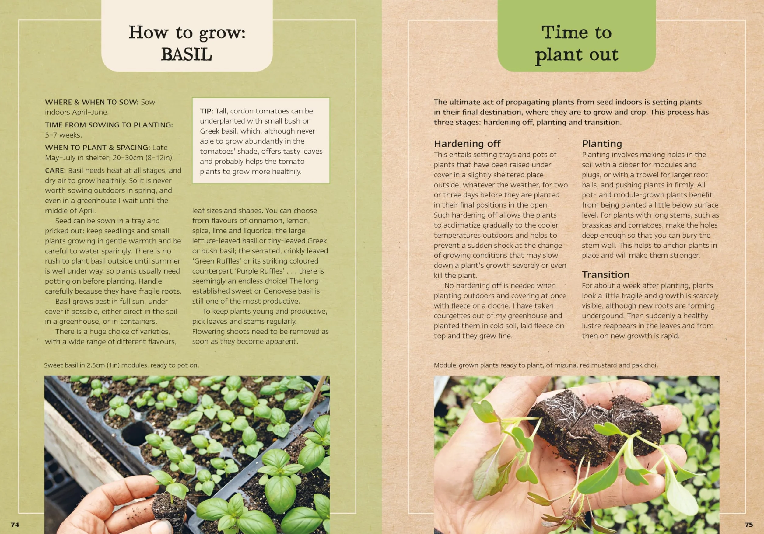 Charles Dowding's Veg Journal: Expert No-Dig Advice, Month by Month