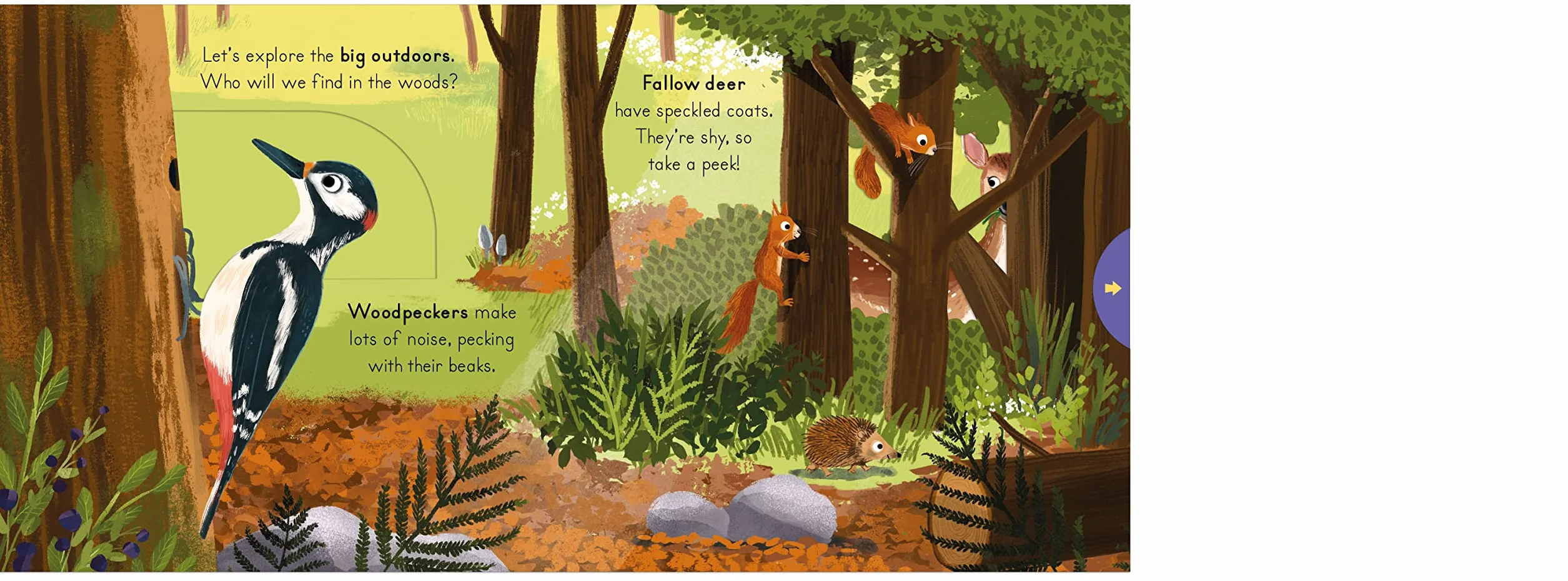 National Trust: Big Outdoors for Little Explorers: Woods