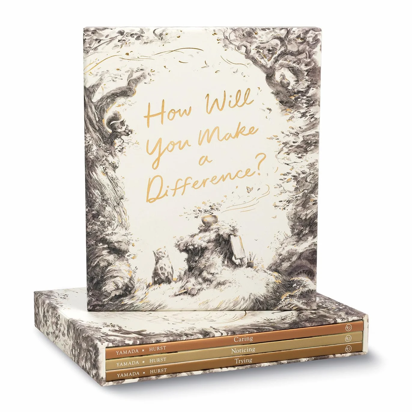 How Will You Make a Difference? Boxed Set: Trying; Noticing; Caring