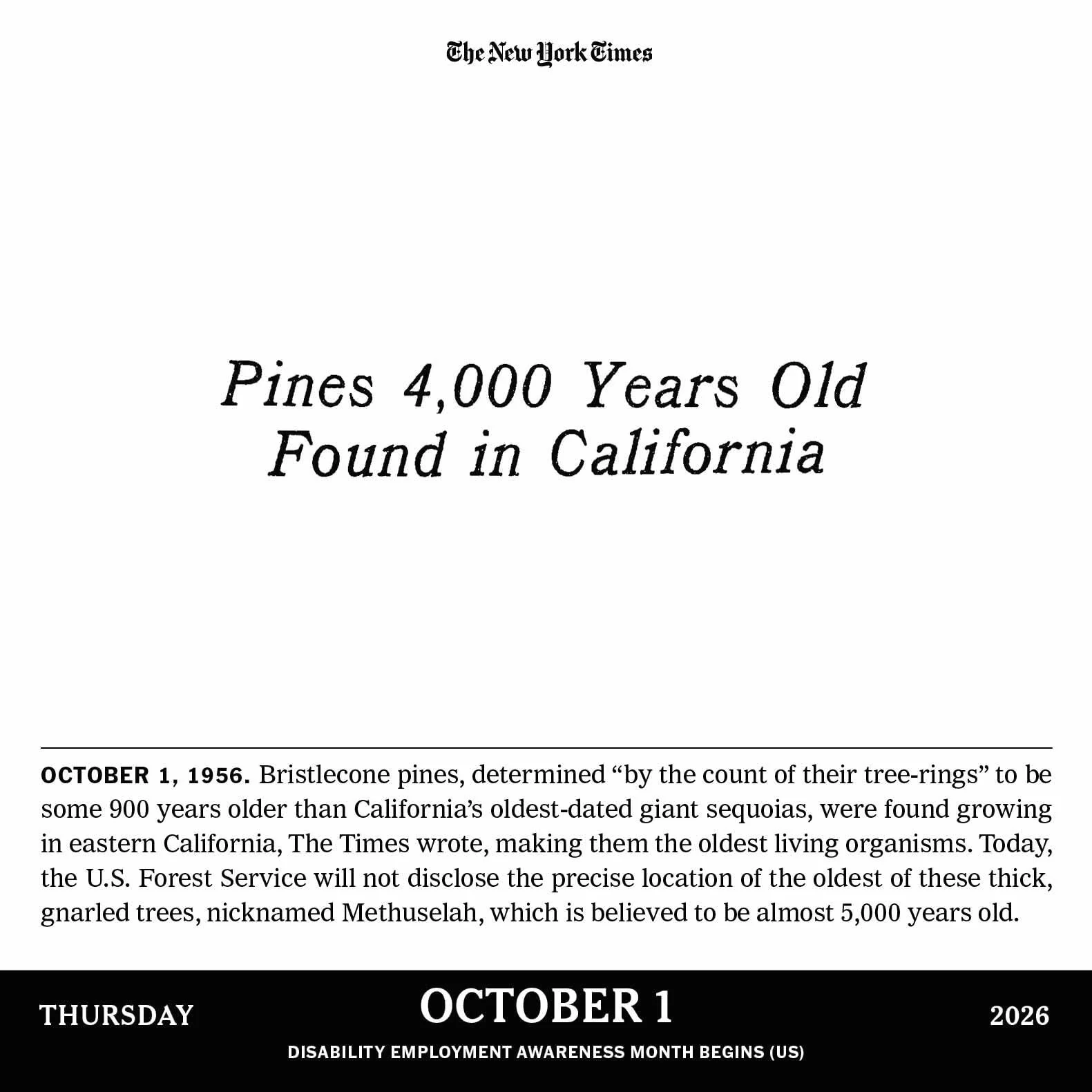 New York Times Headlines in History Page-A-Day® Calendar 2026: 365 Remarkable Stories from the Times Archives
