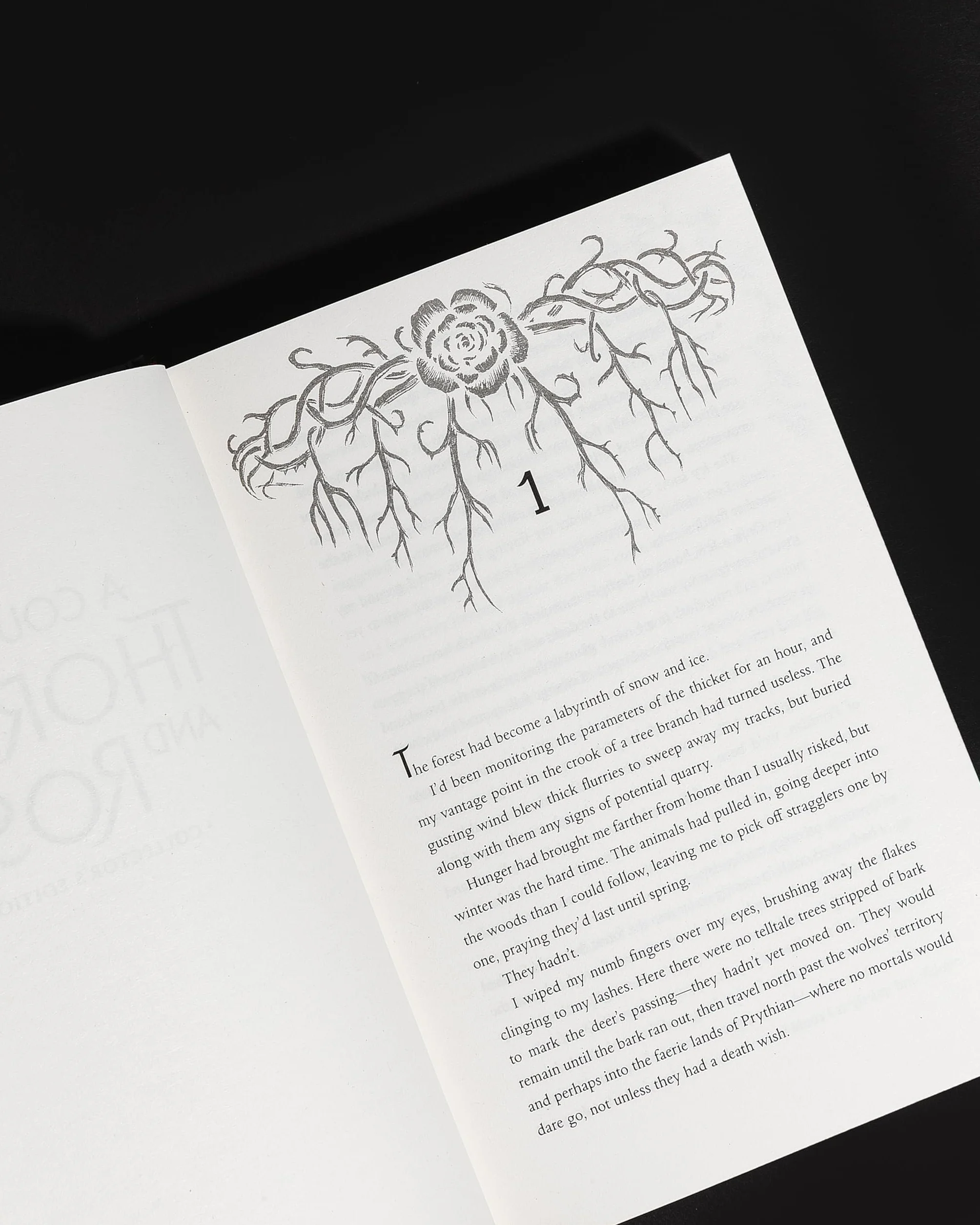 A Court of Thorns and Roses Collector's Edition: 1: From the # 1 Sunday Times best-selling author of A Court of Thorns and Roses