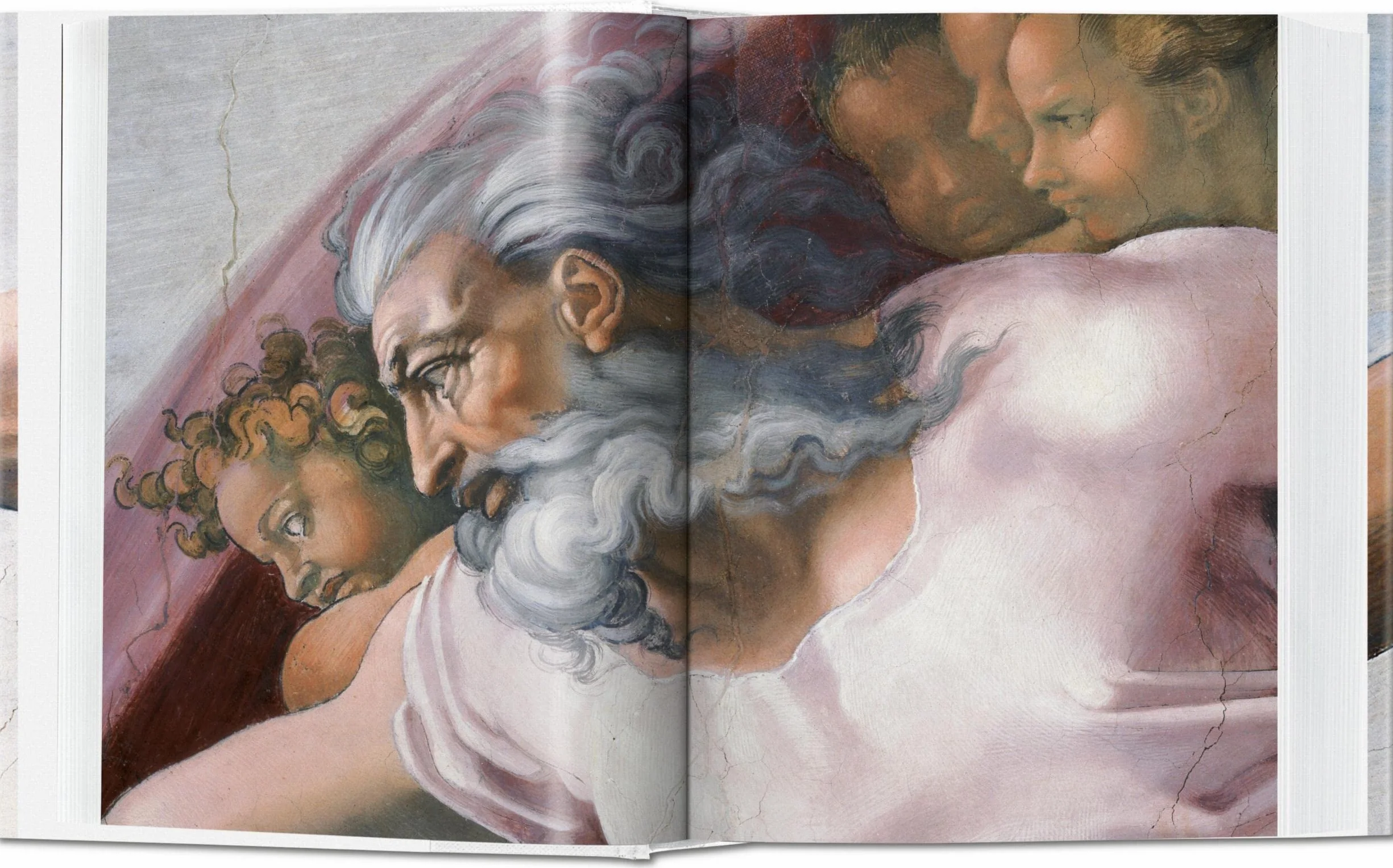Michelangelo. The Complete Paintings, Sculptures and Arch.: Bu: Paintings, Sculptures and Architecture