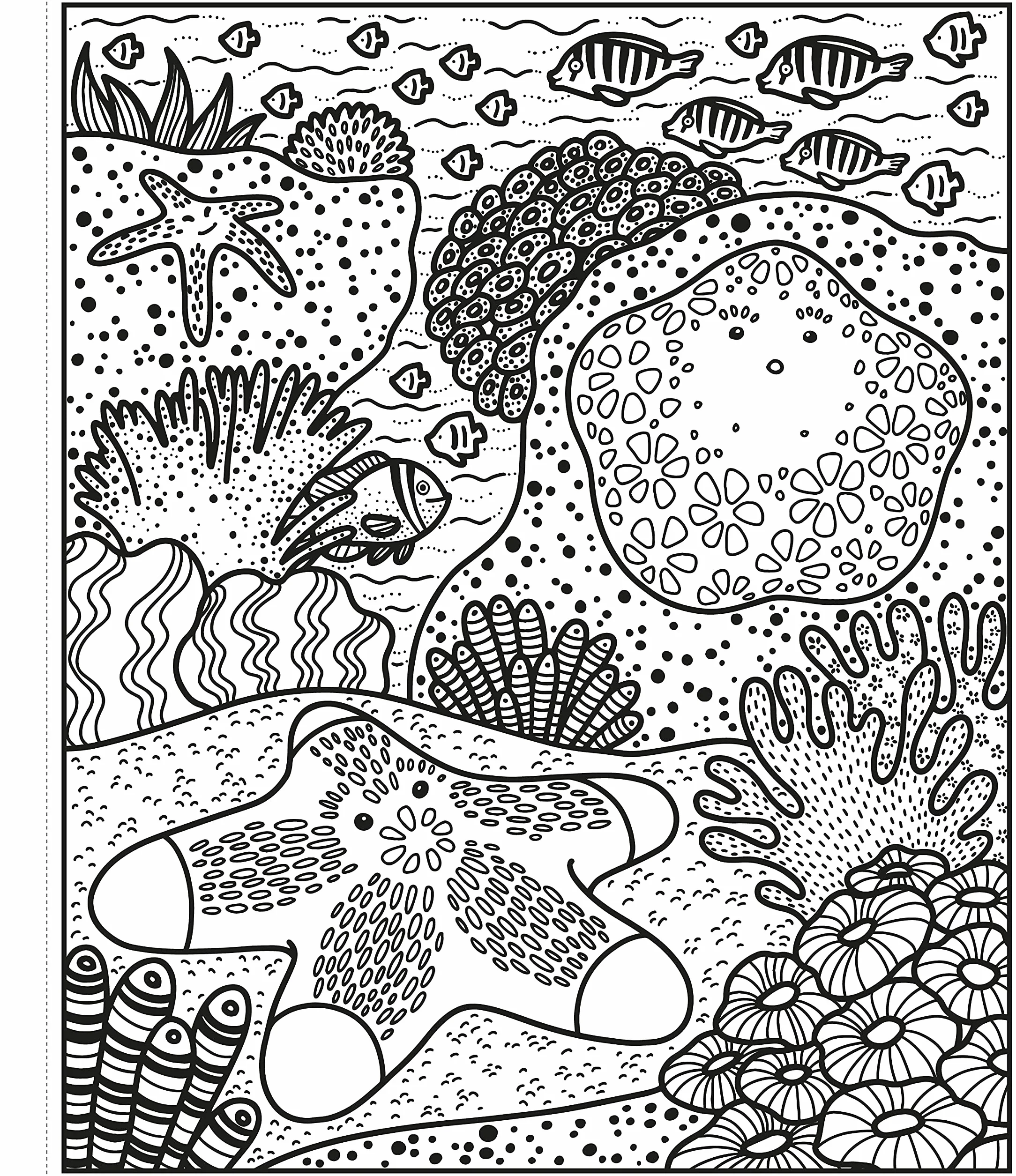 Magic Painting Coral Reef (Magic Painting Books)