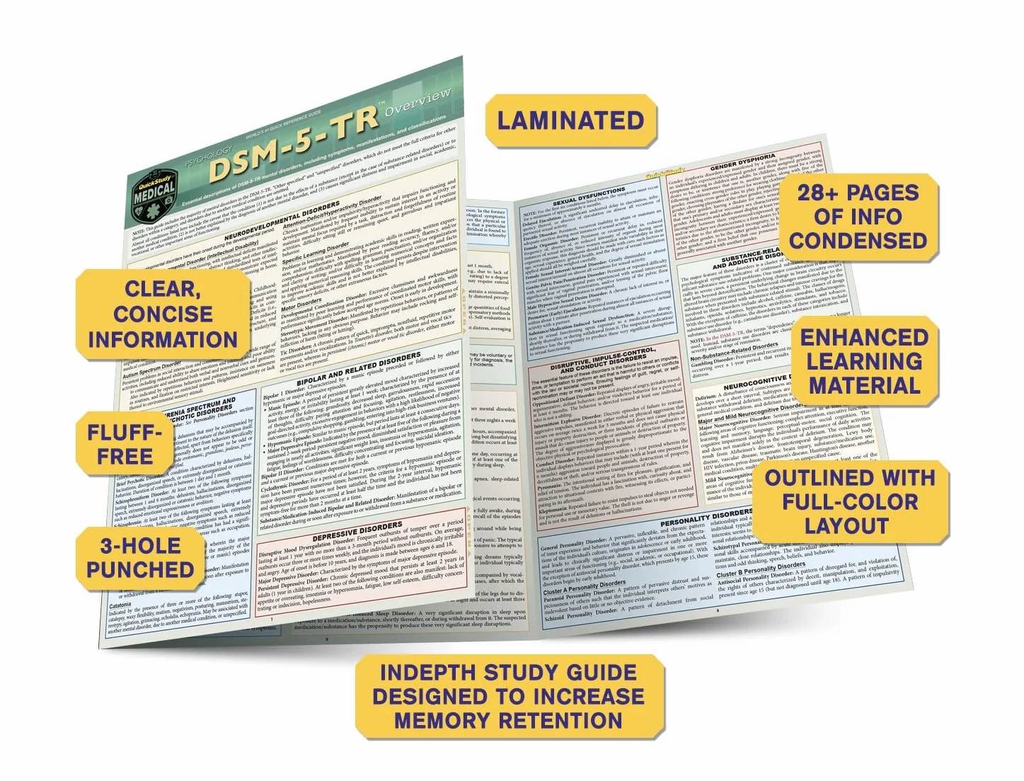Dsm-5-Tr Overview: A Quickstudy Laminated Reference Guide