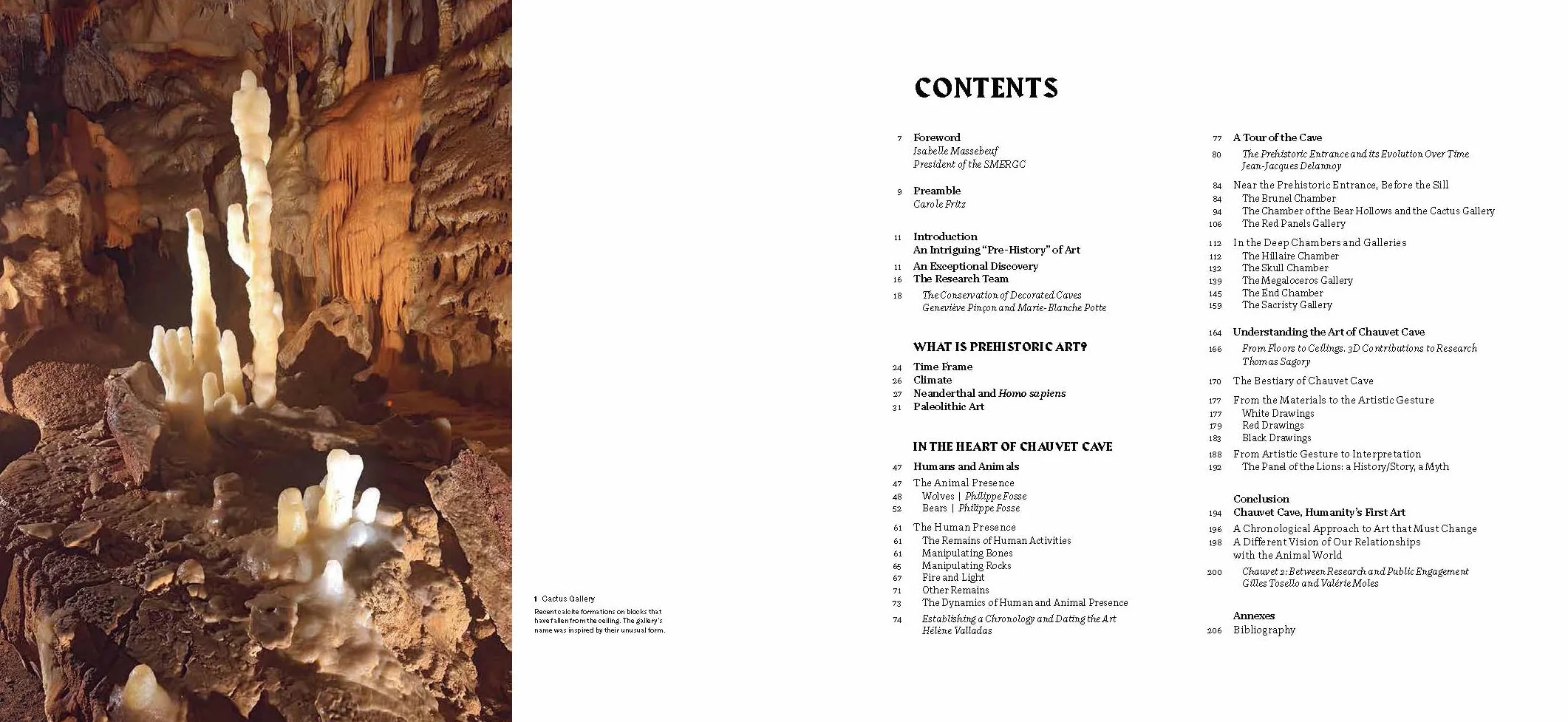 Chauvet Cave: Humanity's First Great Masterpiece