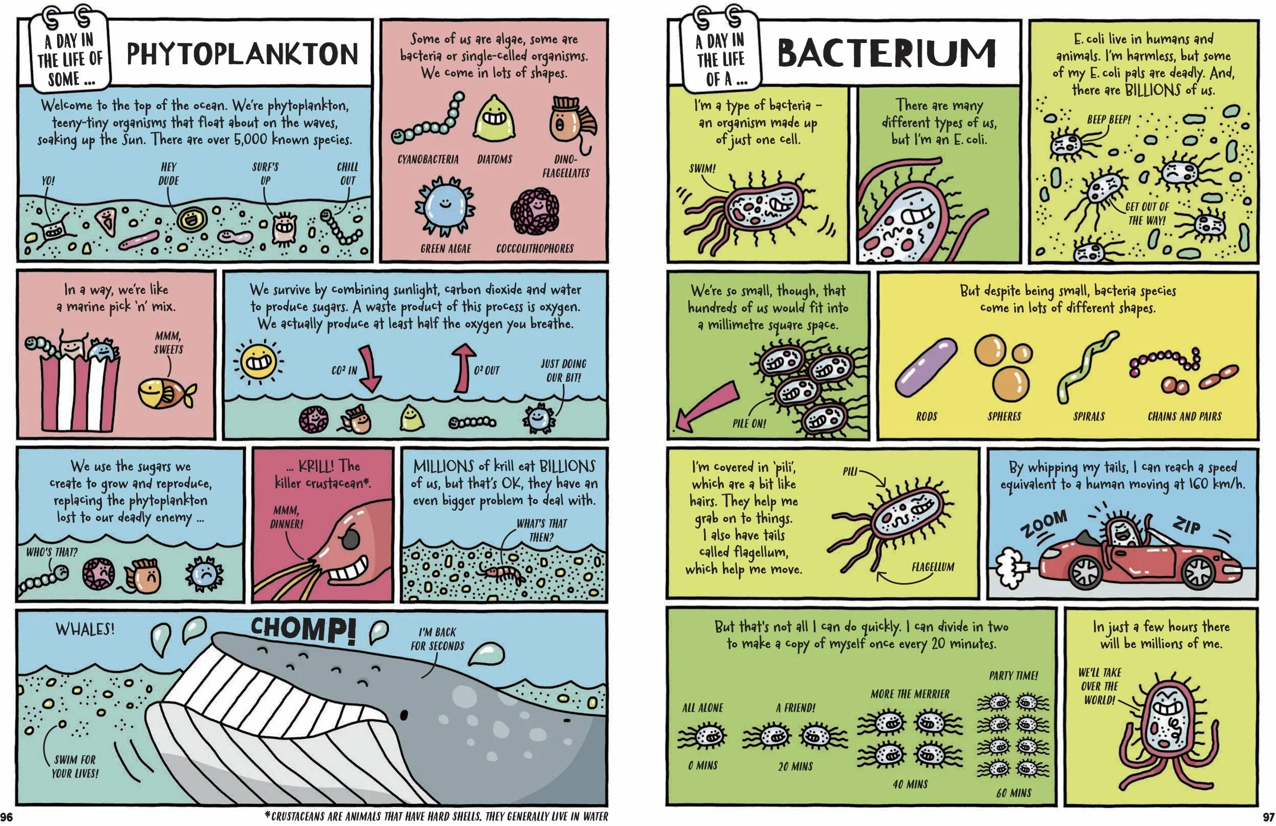 A Day in the Life of a Poo, a Gnu and You (Winner of the Blue Peter Book Award 2021)