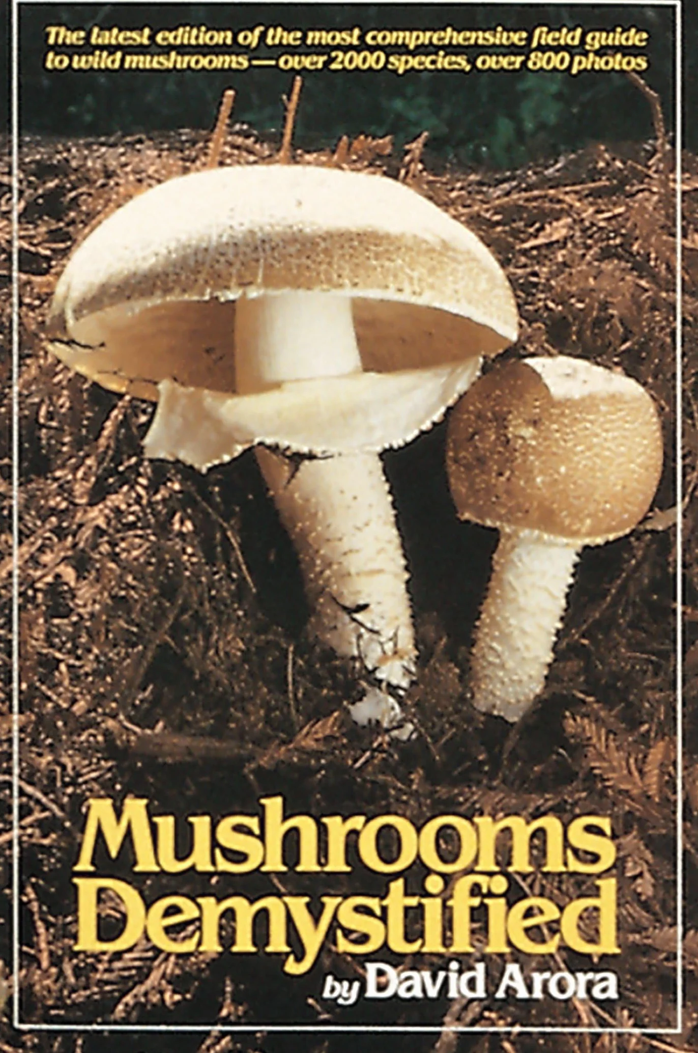 Mushrooms Demystified: A Comprehensive Guide to the Fleshy Fungi