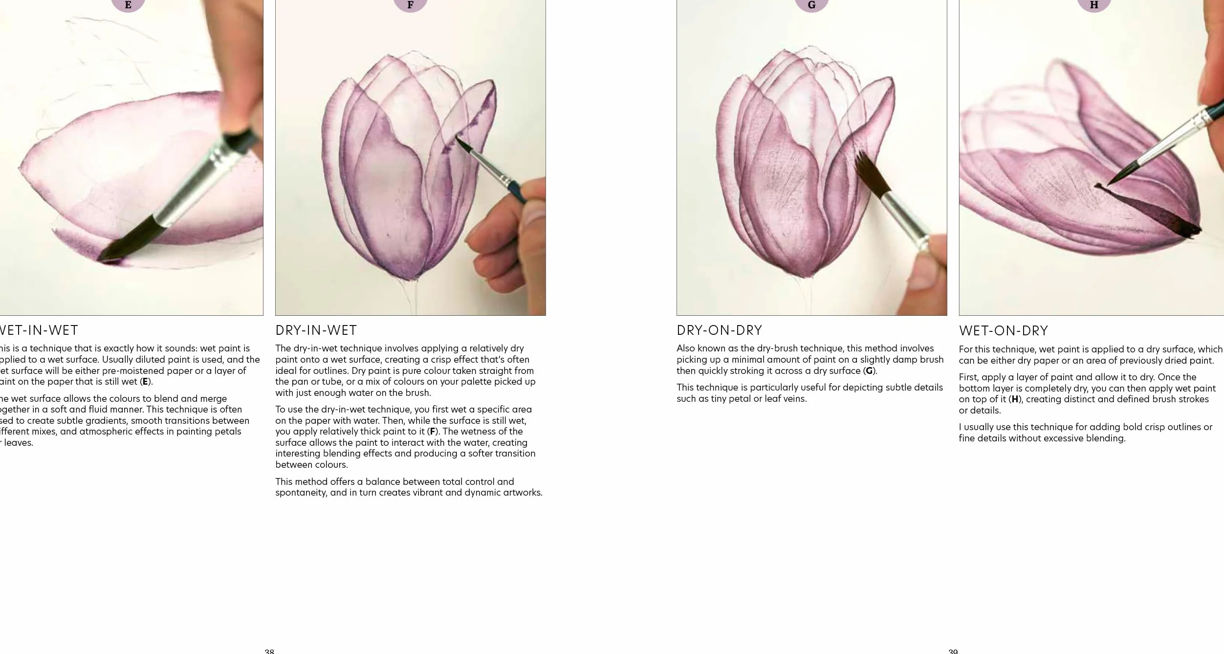 How to Paint Transparent Watercolour Flowers