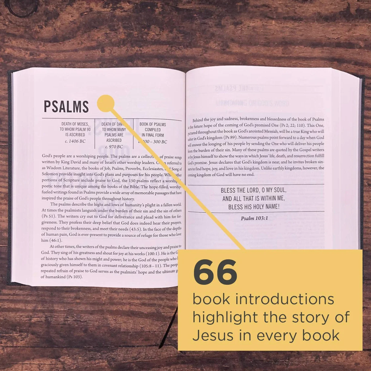 The Jesus Bible, ESV Edition, Cloth Over Board, Grey: English Standard Version, Charcoal, Cloth over Board