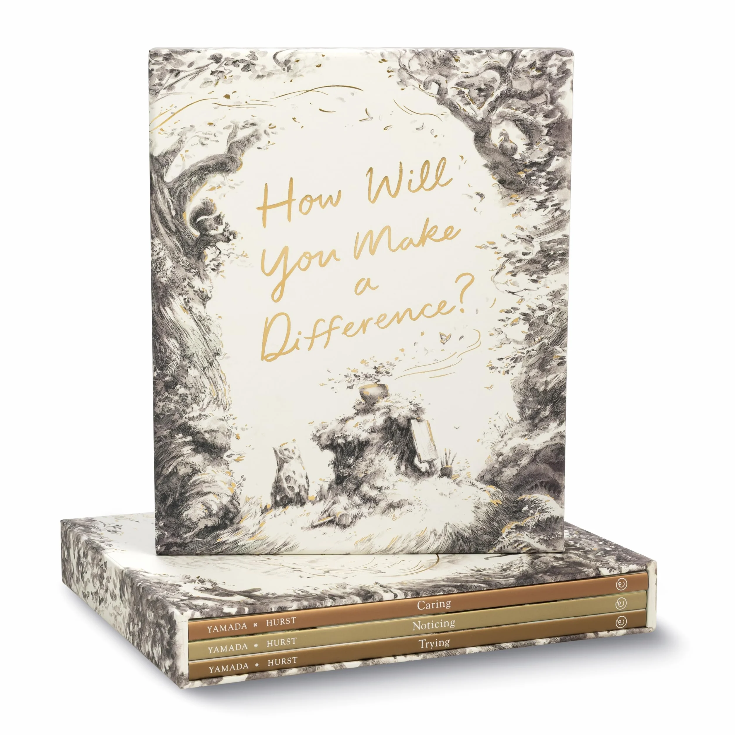 How Will You Make a Difference? Boxed Set: Trying; Noticing; Caring