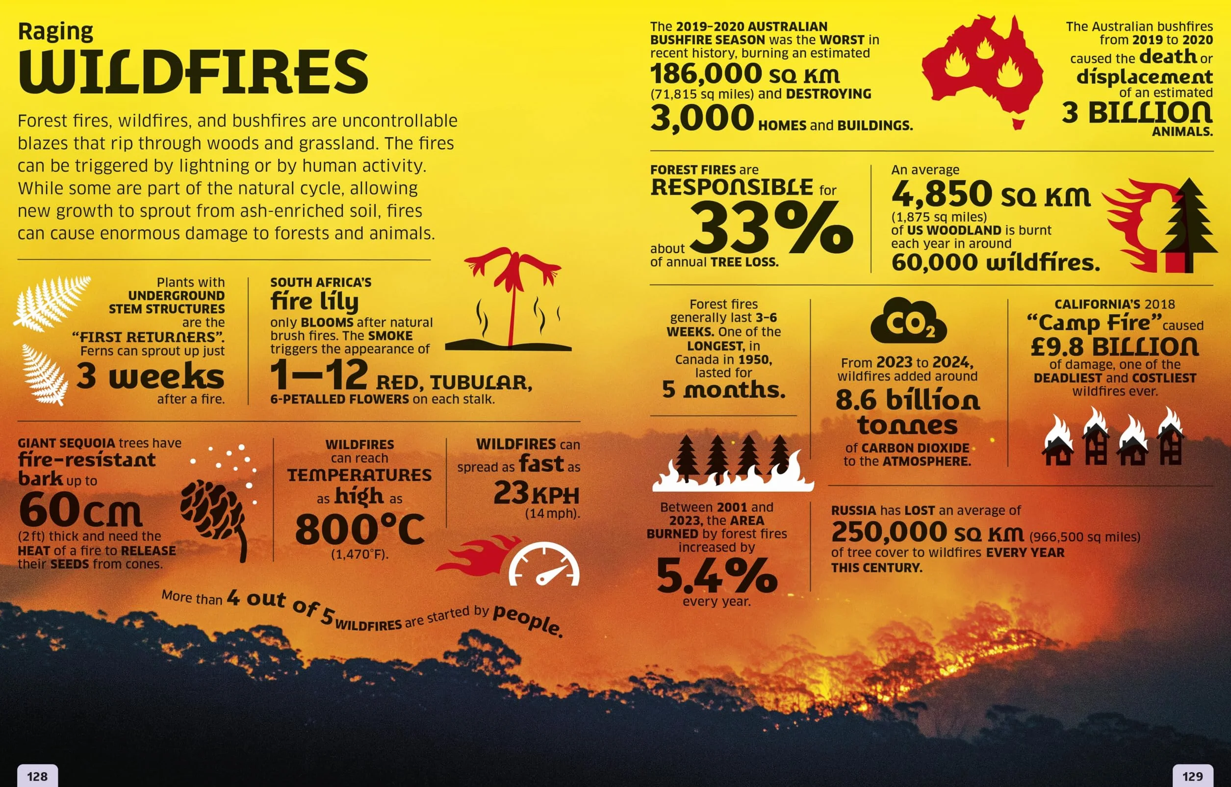 Our World in Numbers Planet Earth