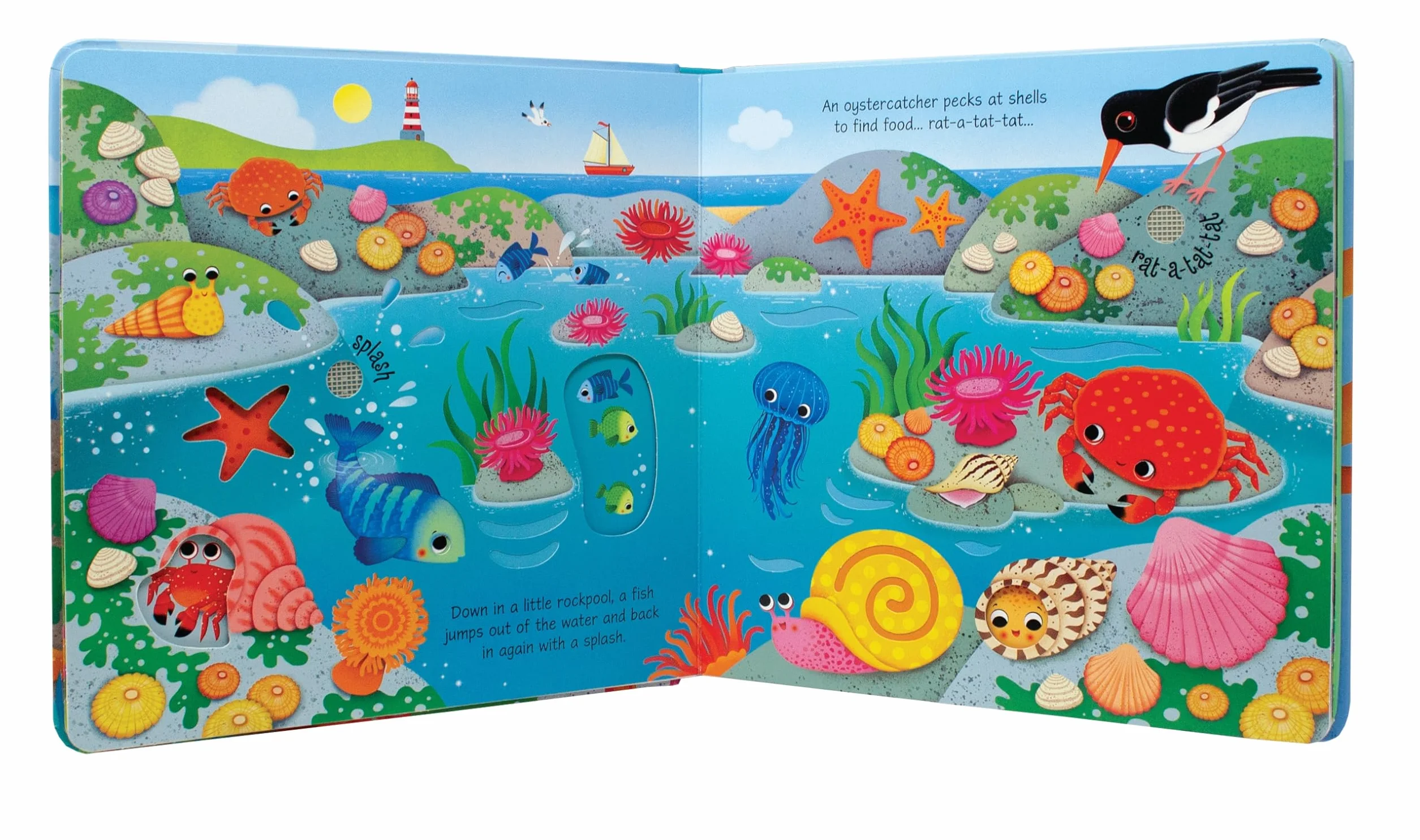 Seashore Sounds (Sound Books)