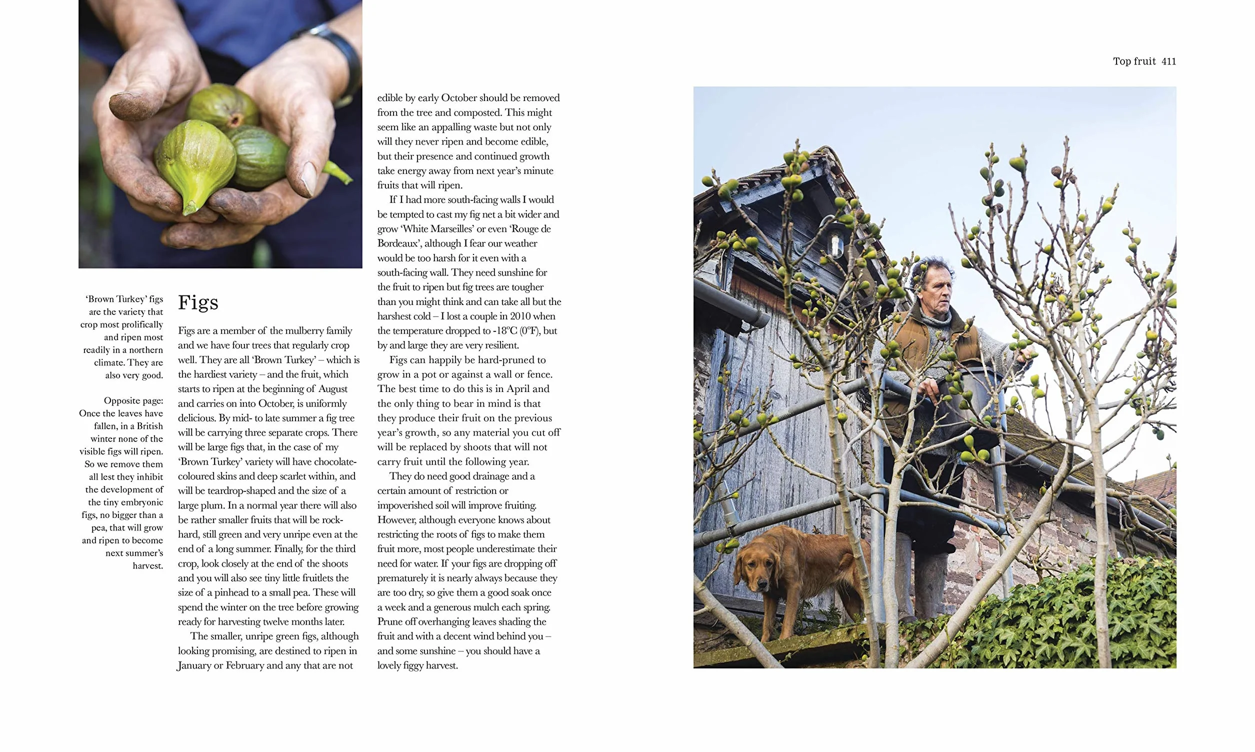 The Complete Gardener: A Practical, Imaginative Guide to Every Aspect of Gardening