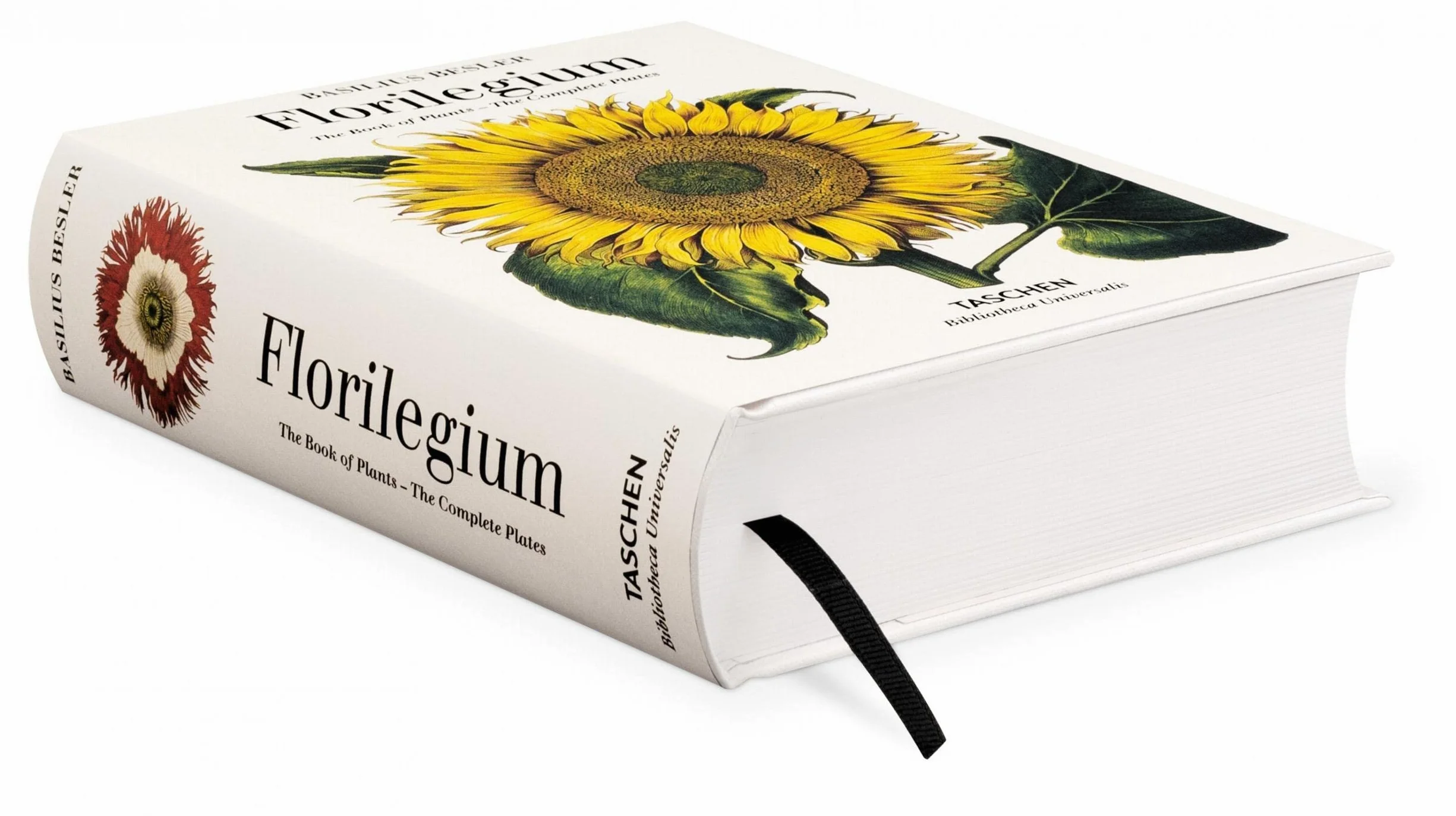 Basilius beslers florilegium. the book of plants-anglais: Bu