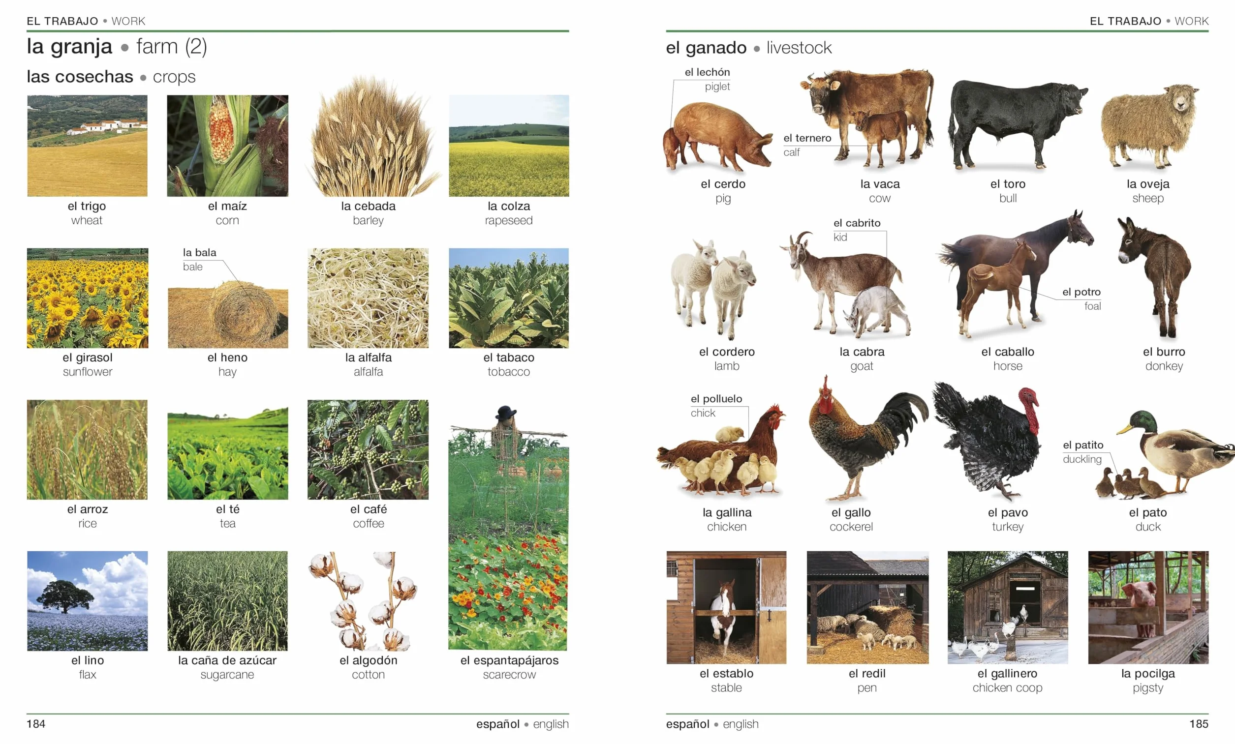 Spanish English Bilingual Visual Dictionary