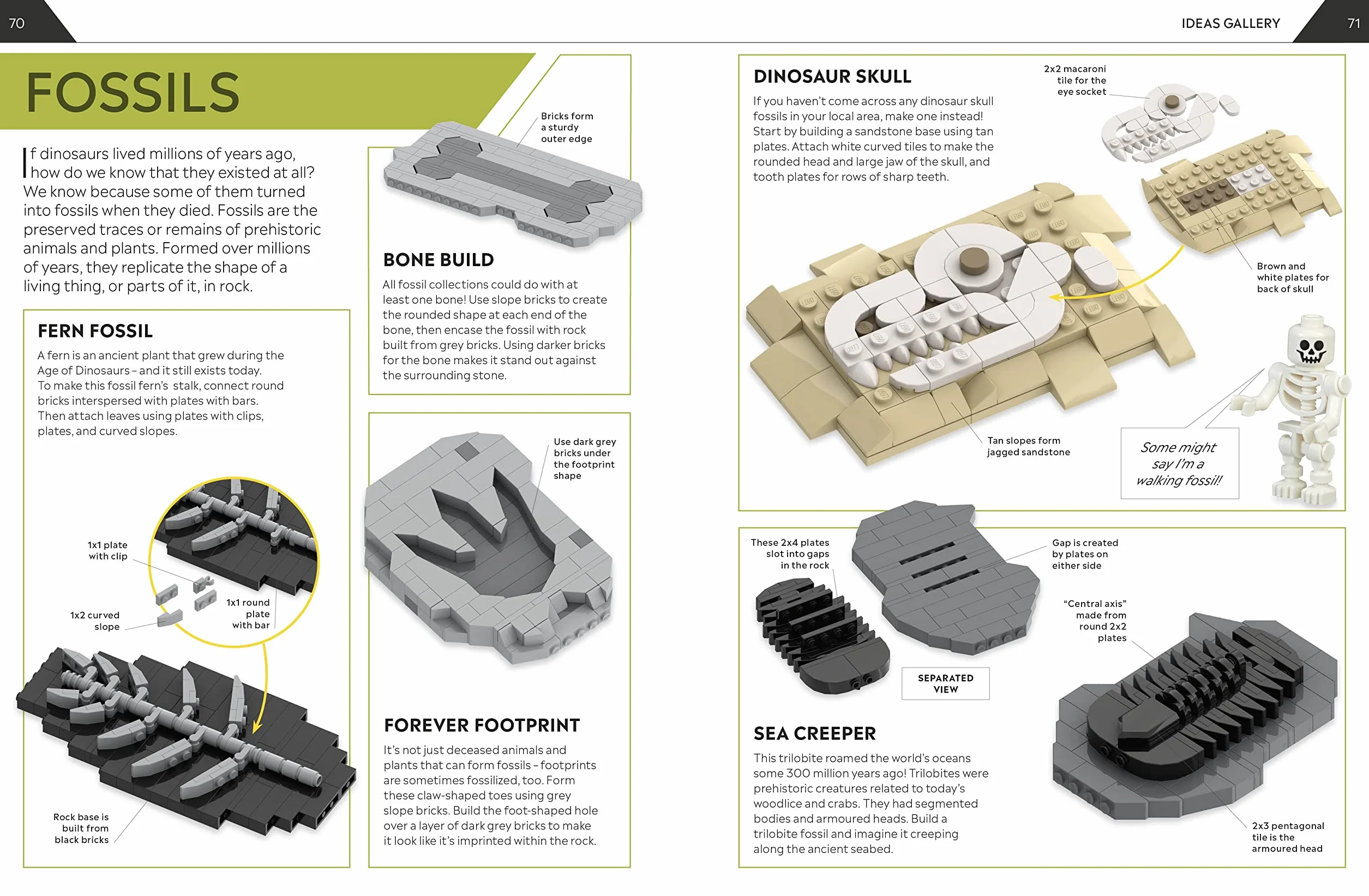 How to Build LEGO Dinosaurs: Go on a Journey to Become a Better Builder