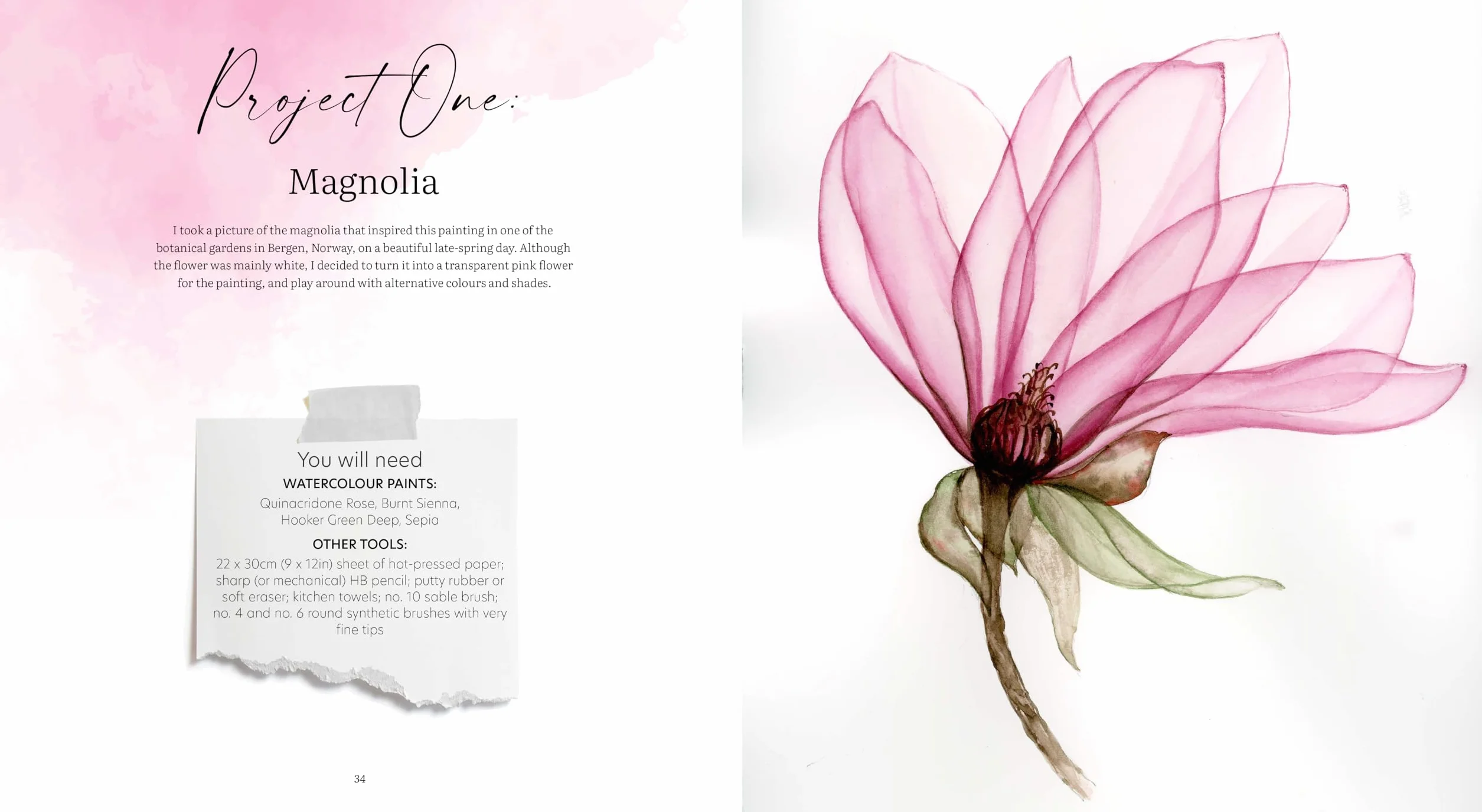 How to Paint Transparent Watercolour Flowers
