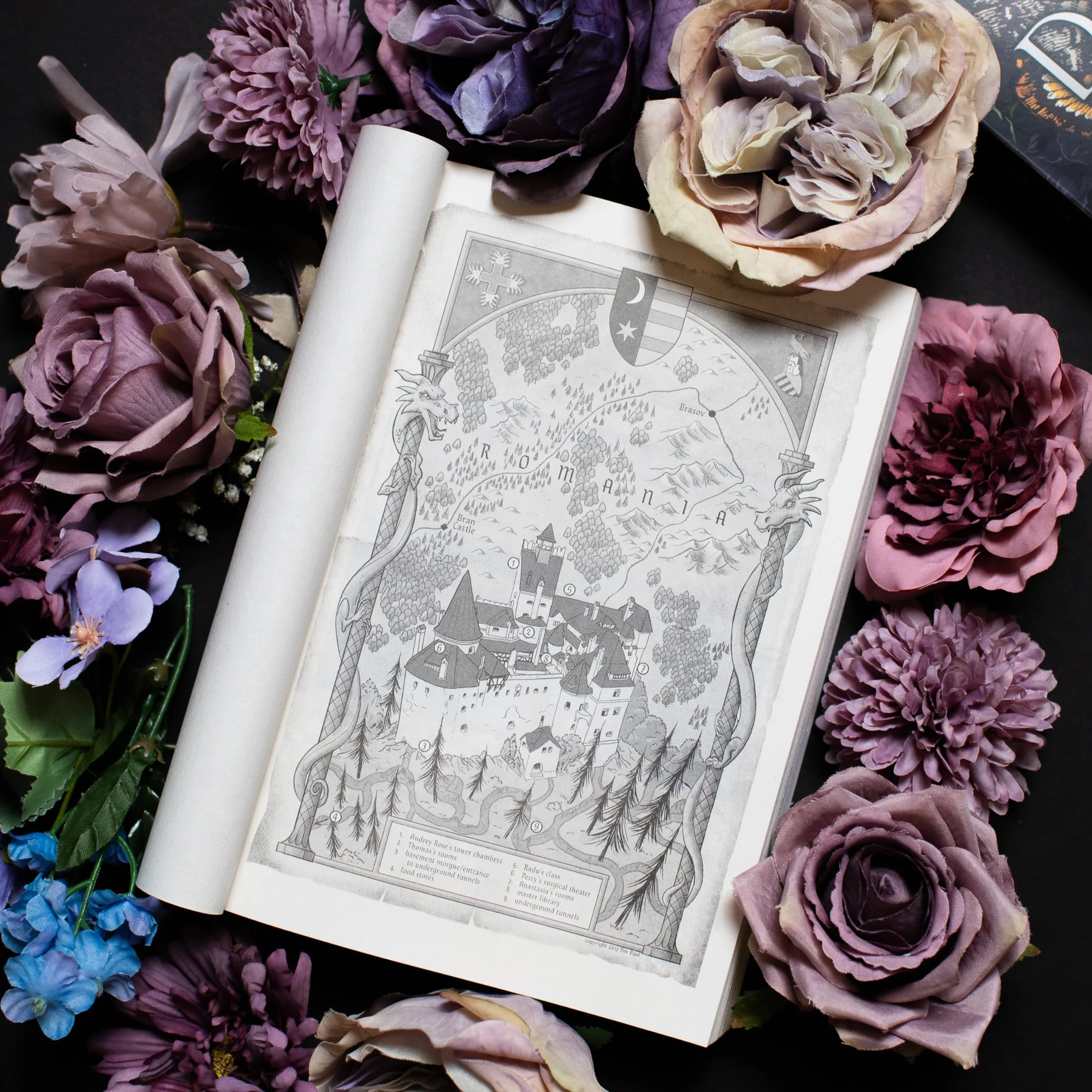 Hunting Prince Dracula: Kerri Maniscalco: 2