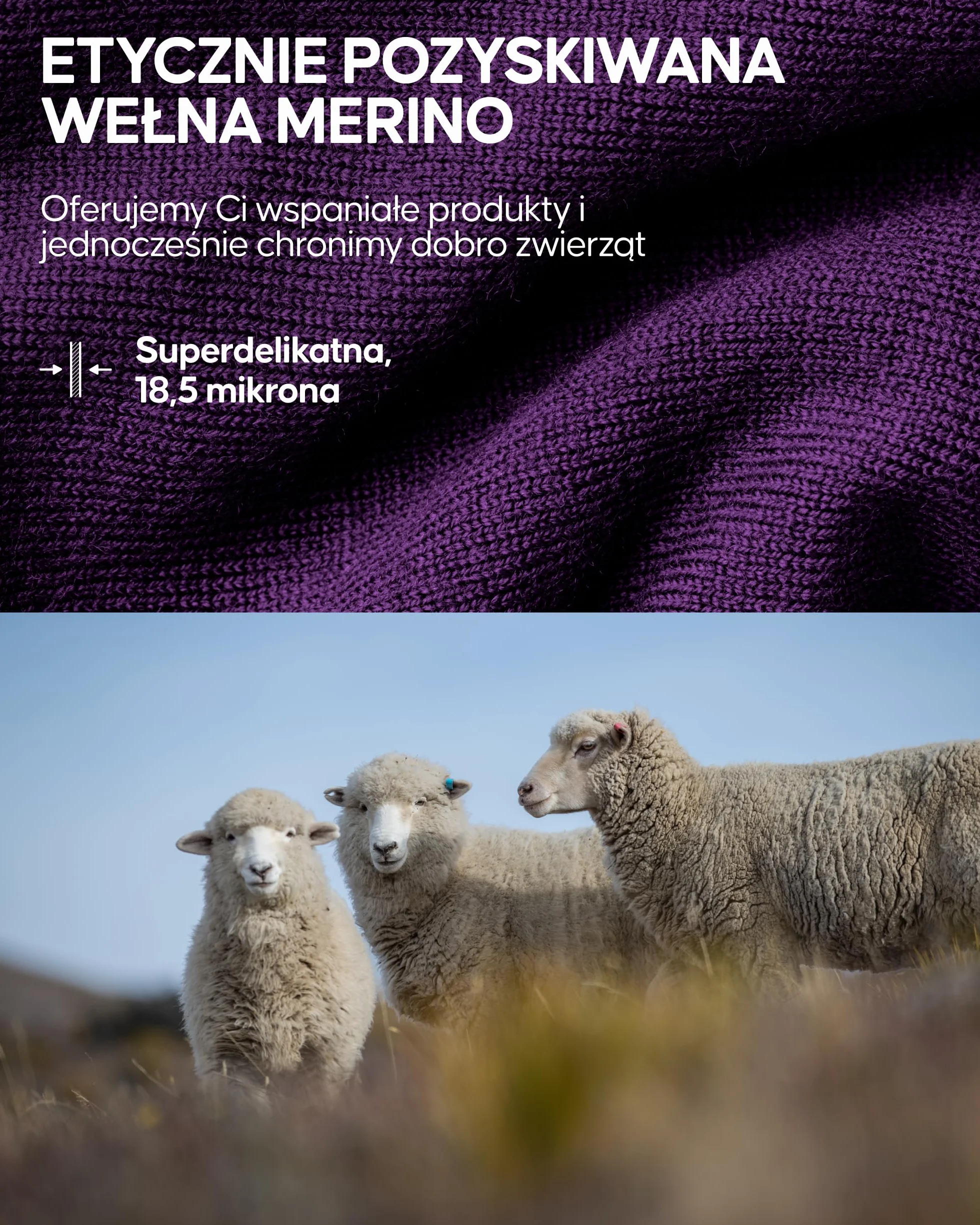 DANISH ENDURANCE Wielofunkcyjna Kominiarka, Ocieplacz na Szyję dla Mężczyzn i Kobiet, Wełna Merino, Kominiarka, Maska na Twarz, Unisex
